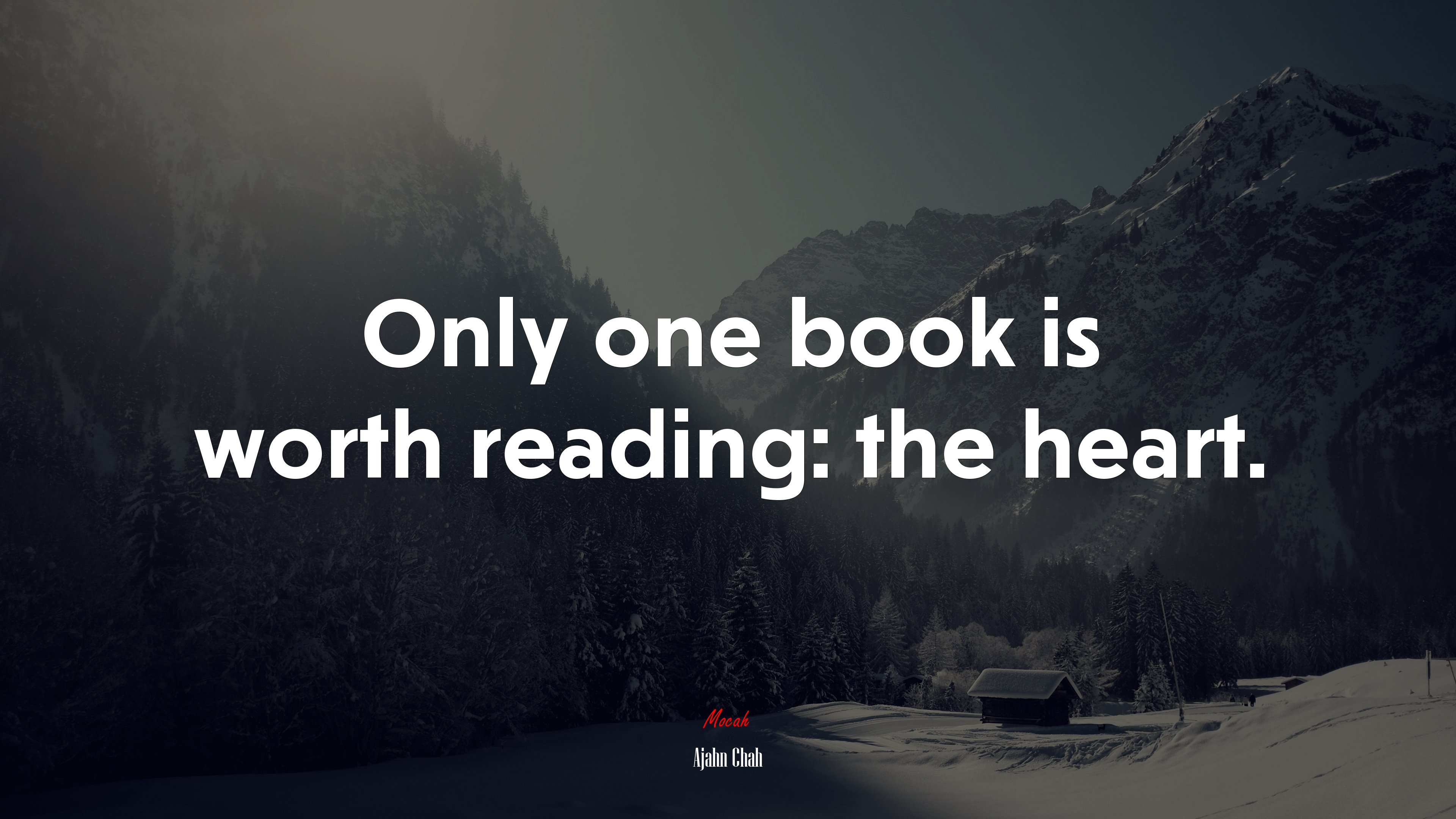 Only one book is worth reading: the heart. | Ajahn Chah quote HD Wallpaper