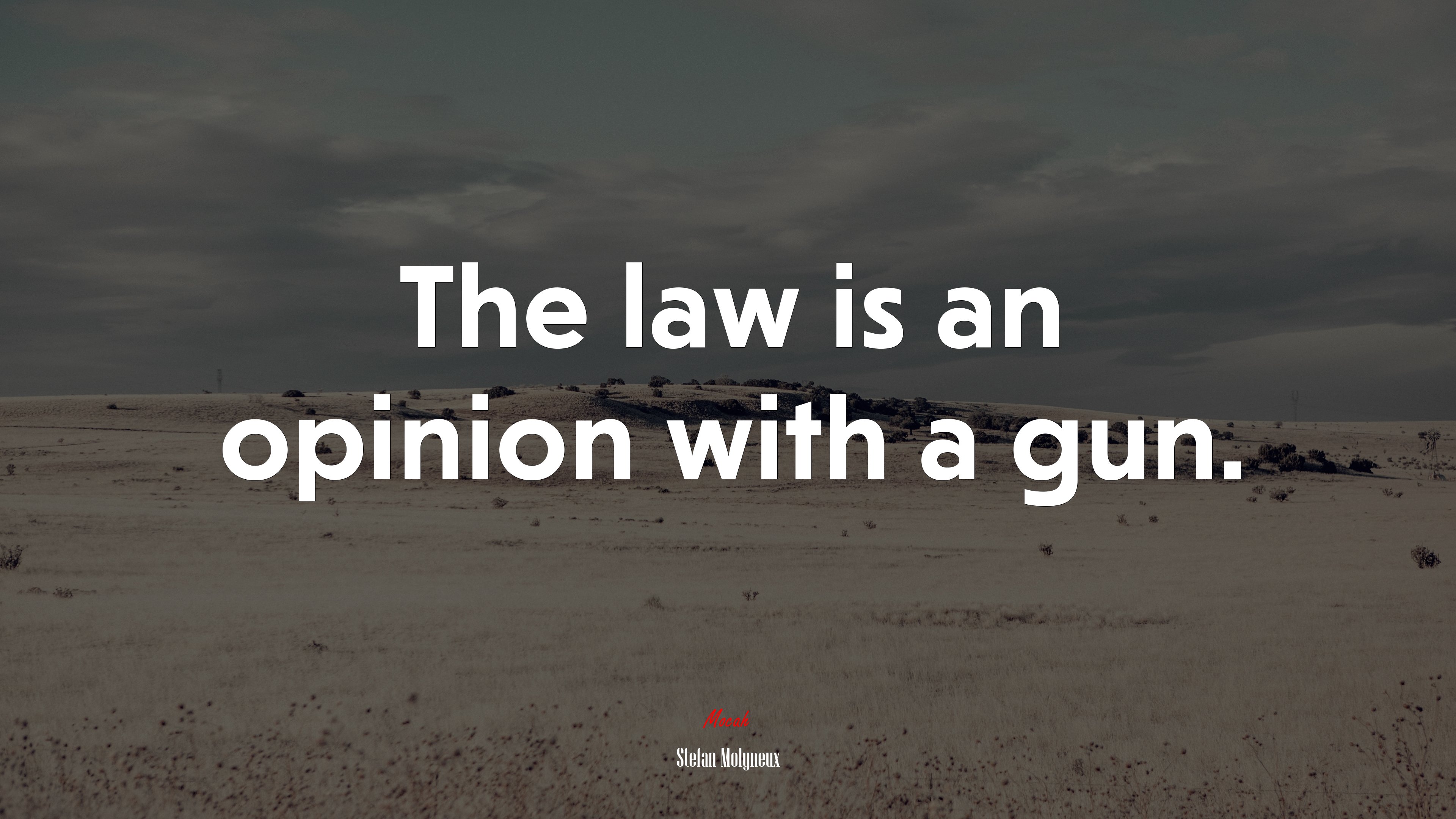 The law is an opinion with a gun. | Stefan Molyneux quote HD Wallpaper
