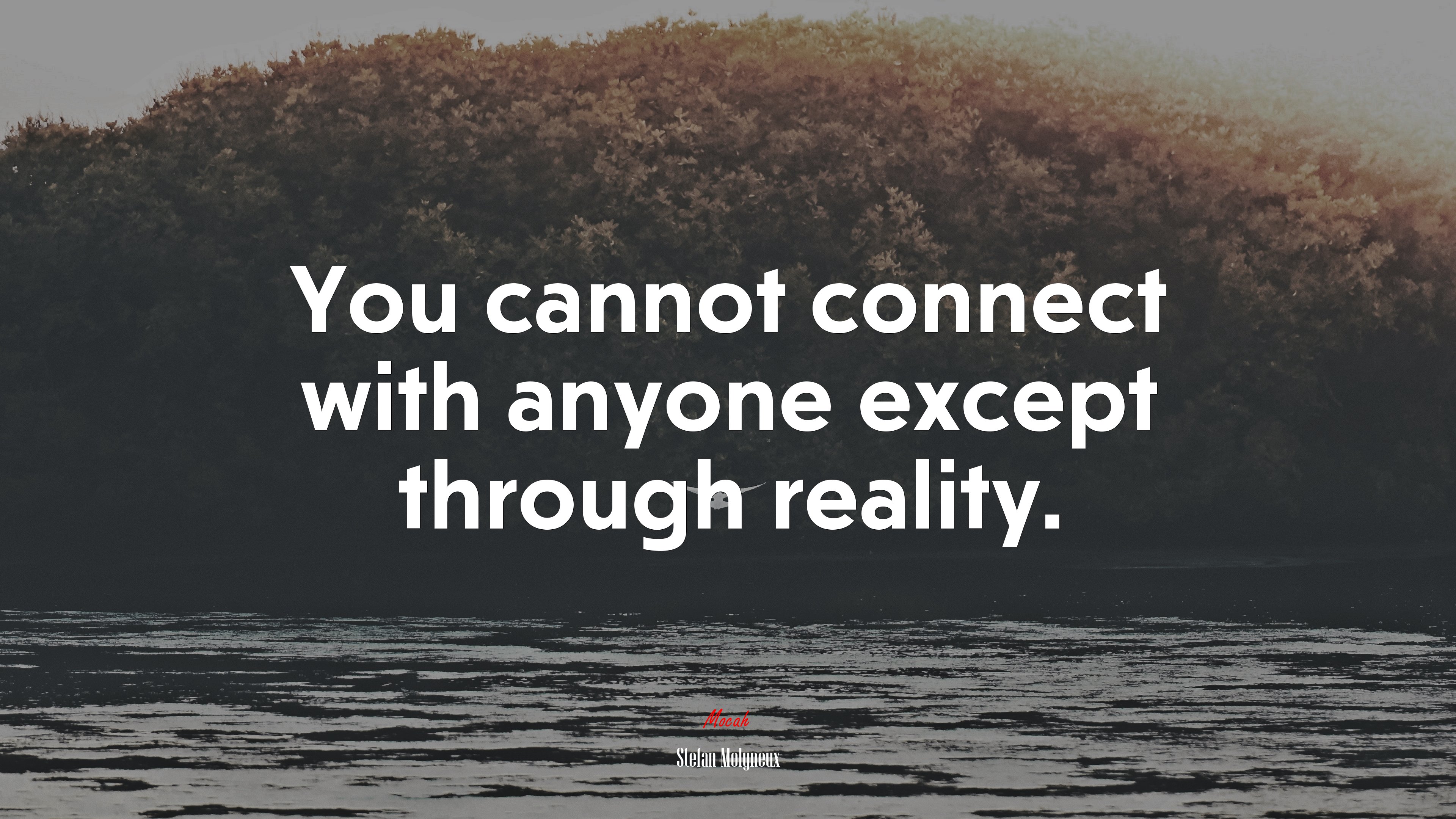 You cannot connect with anyone except through reality. | Stefan Molyneux quote HD Wallpaper