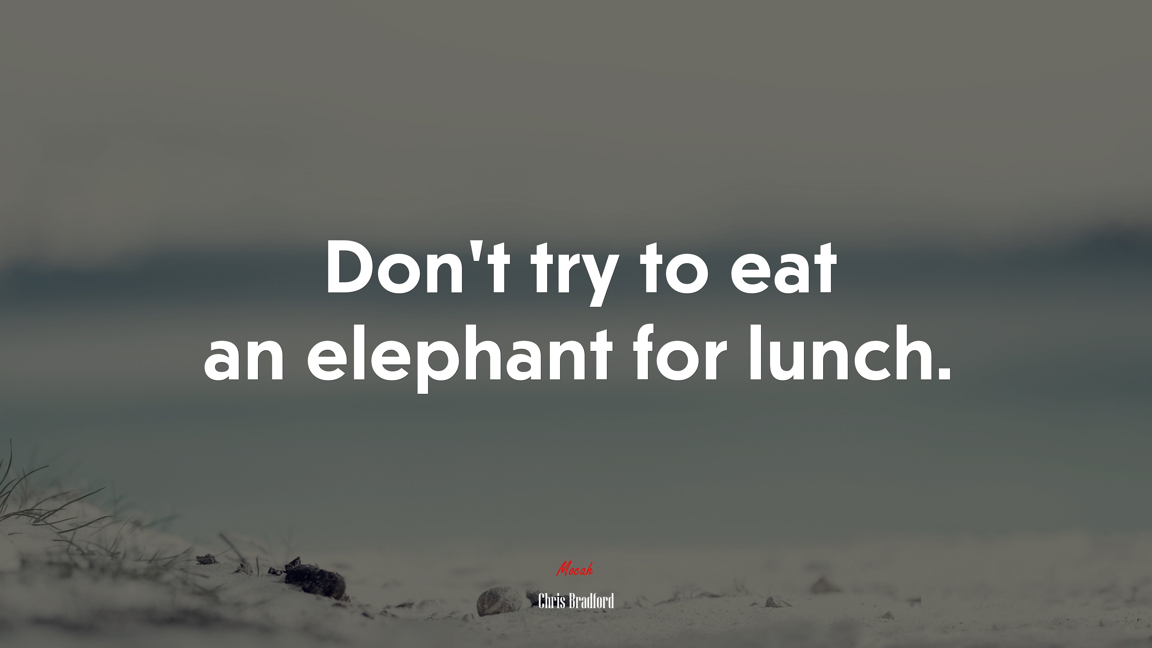 Don’t try to eat an elephant for lunch. | Chris Bradford quote HD Wallpaper