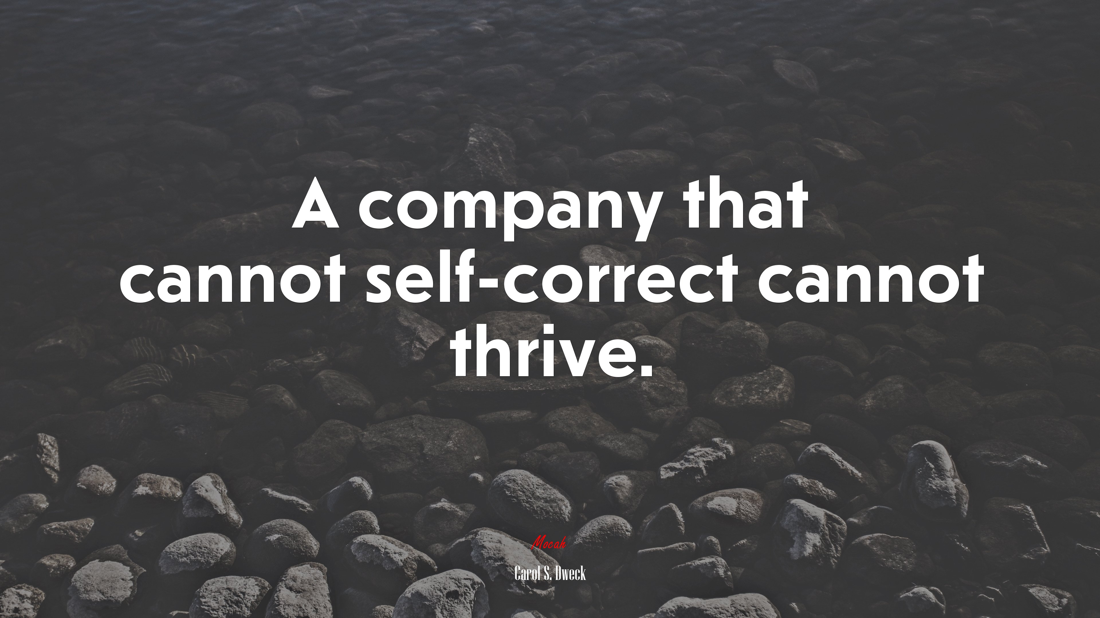 A company that cannot self-correct cannot thrive. | Carol S. Dweck quote HD Wallpaper