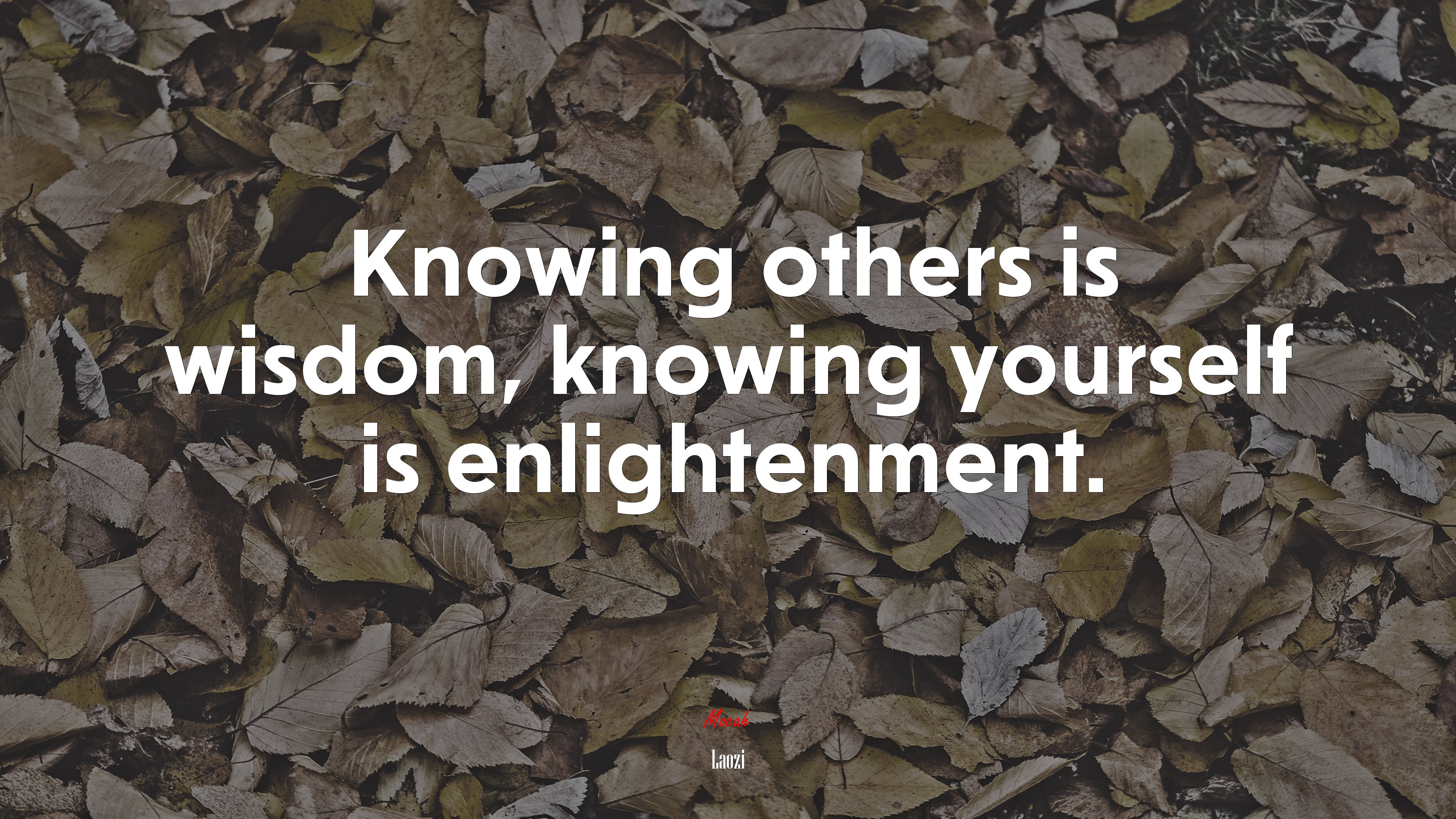 Knowing others is wisdom, knowing yourself is enlightenment. | Laozi quote HD Wallpaper