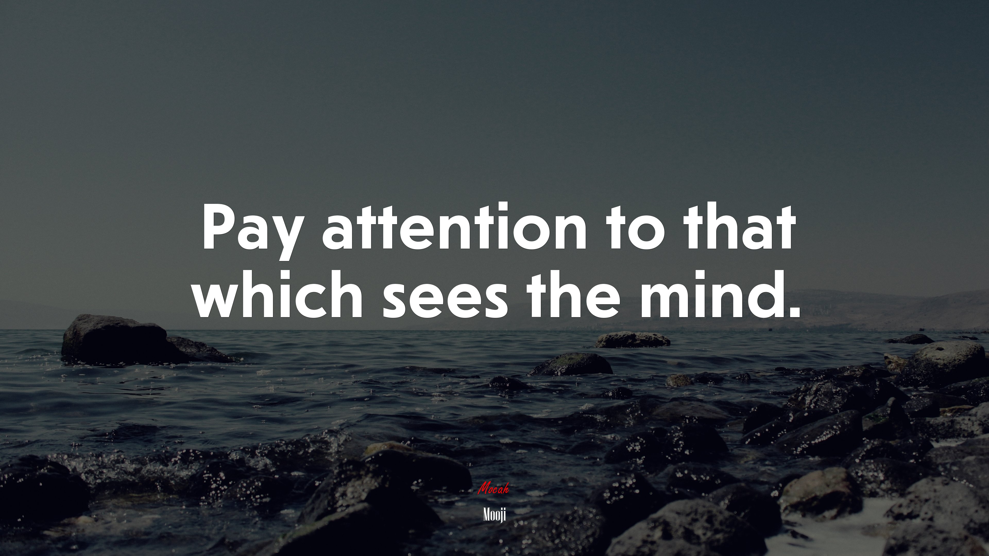Pay attention to that which sees the mind. | Mooji quote HD Wallpaper