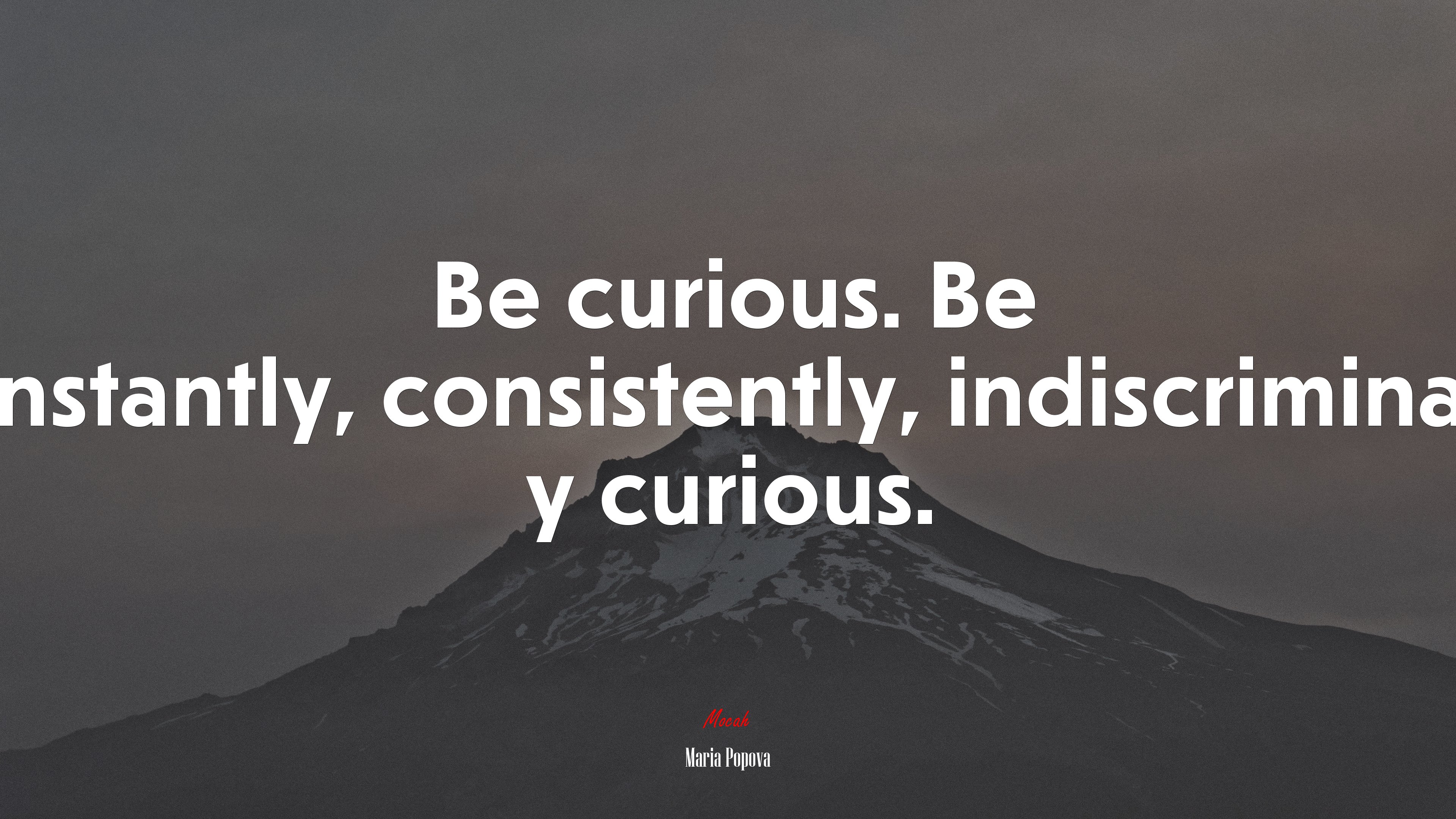 Be curious. Be constantly, consistently, indiscriminatel y curious. | Maria Popova quote HD Wallpaper