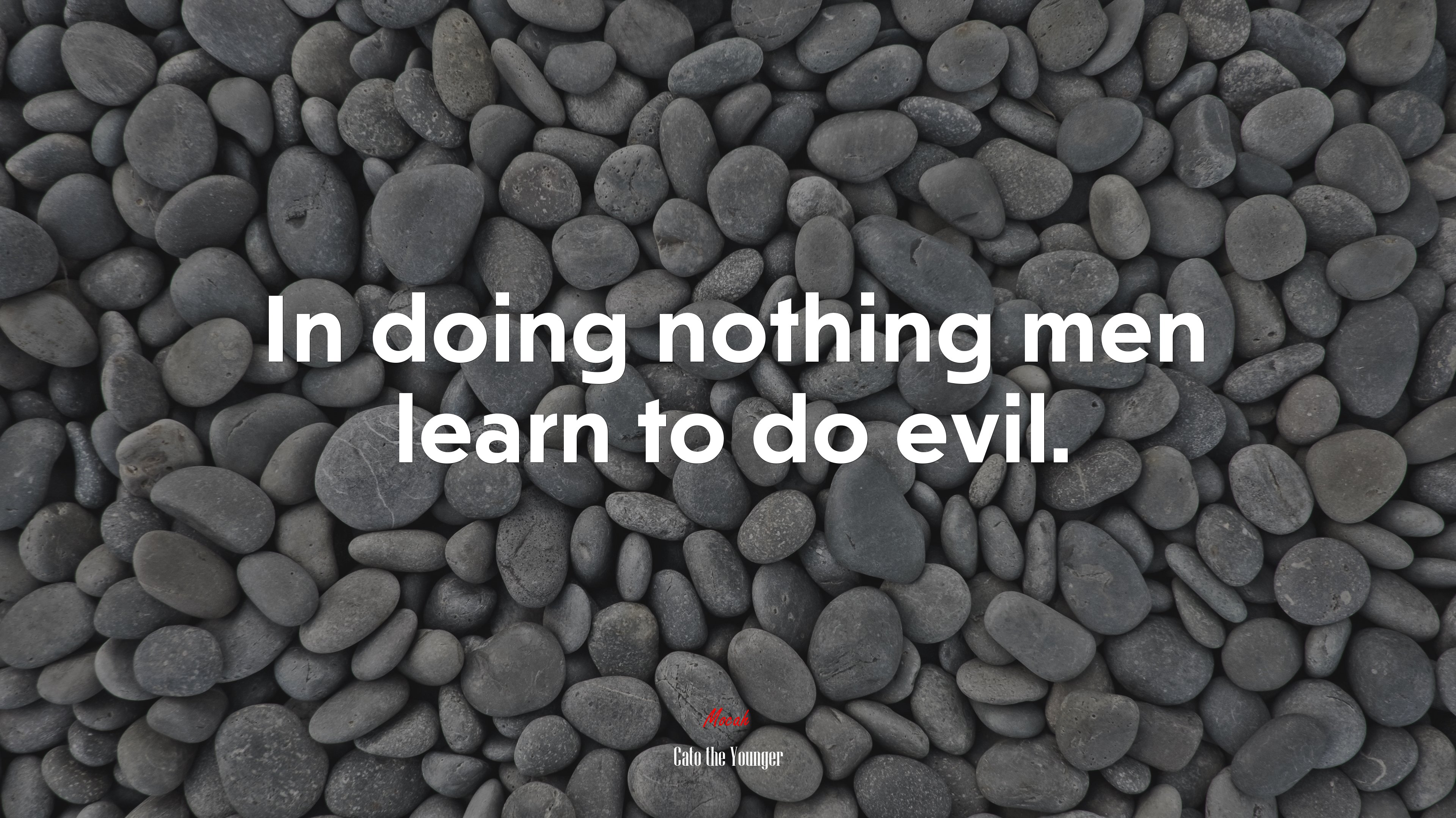 In doing nothing men learn to do evil. | Cato the Younger quote HD Wallpaper