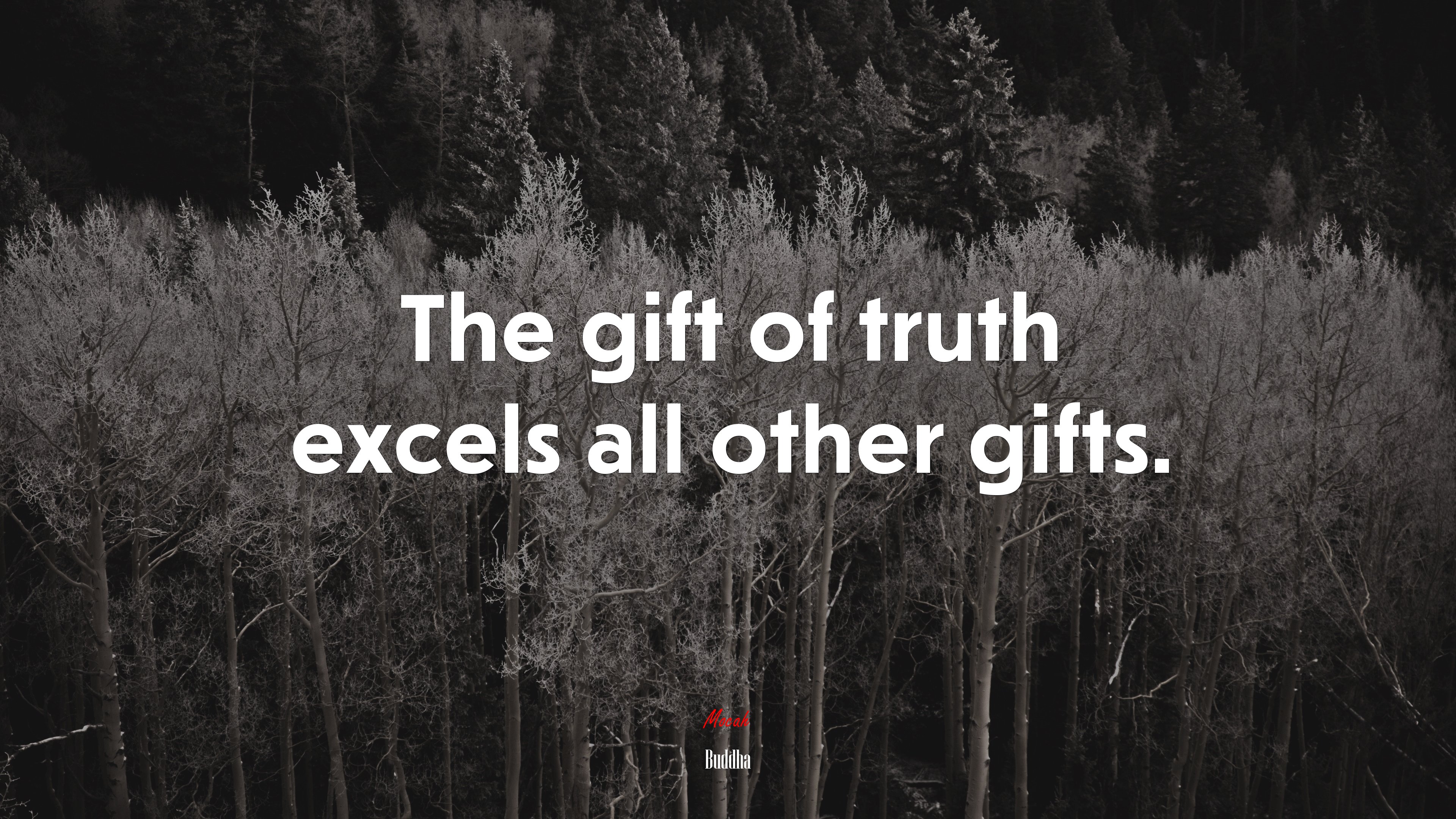 The gift of truth excels all other gifts. | Buddha quote HD Wallpaper