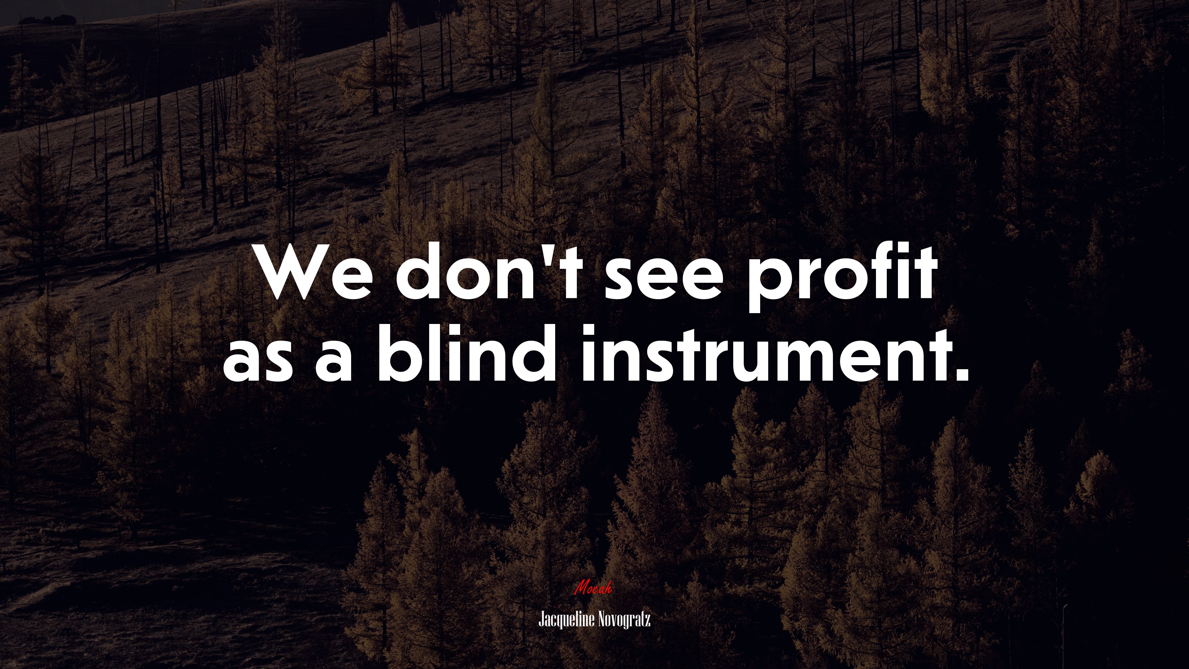 We don’t see profit as a blind instrument. | Jacqueline Novogratz quote HD Wallpaper