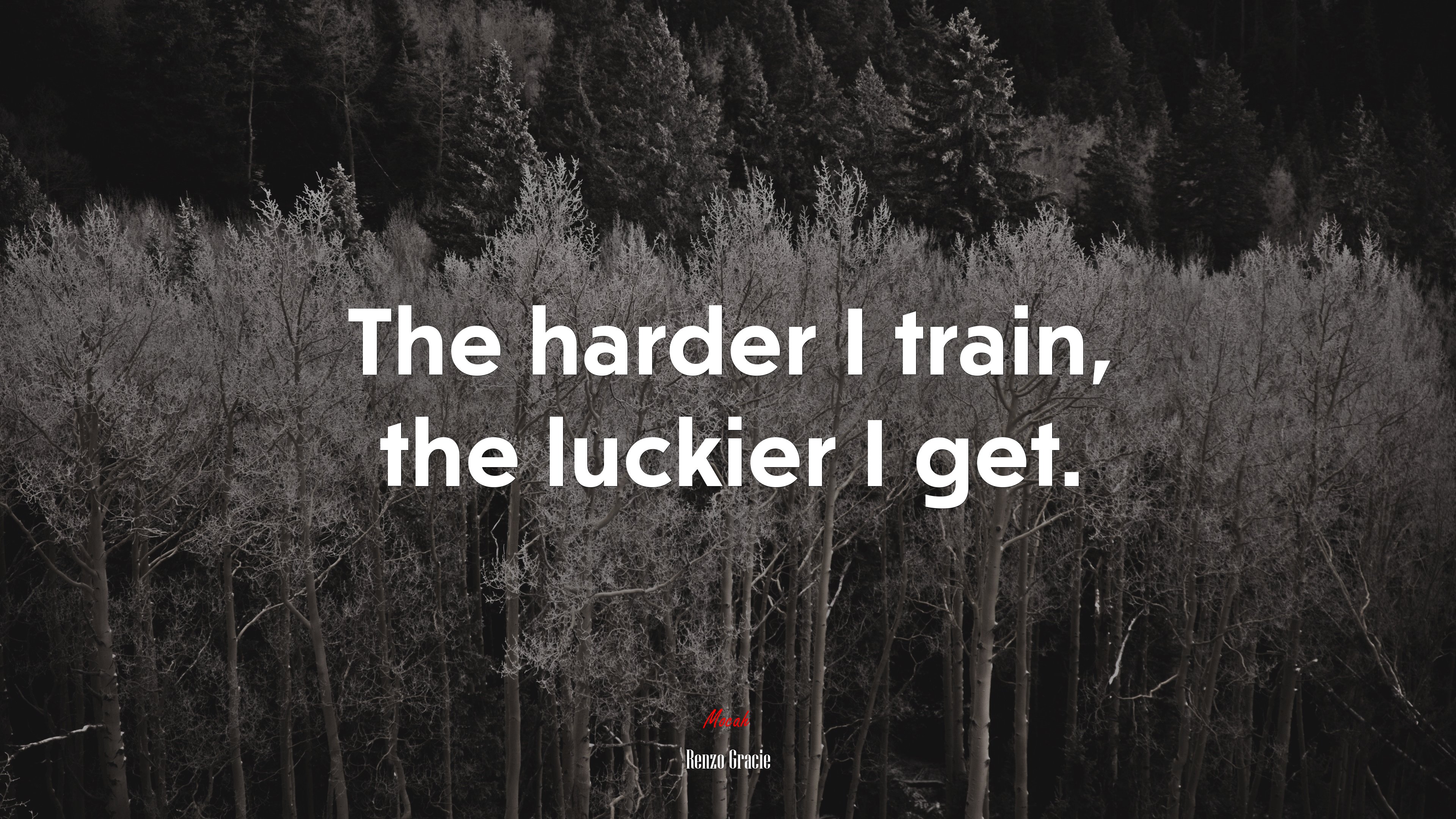 The harder I train, the luckier I get. | Renzo Gracie quote HD Wallpaper