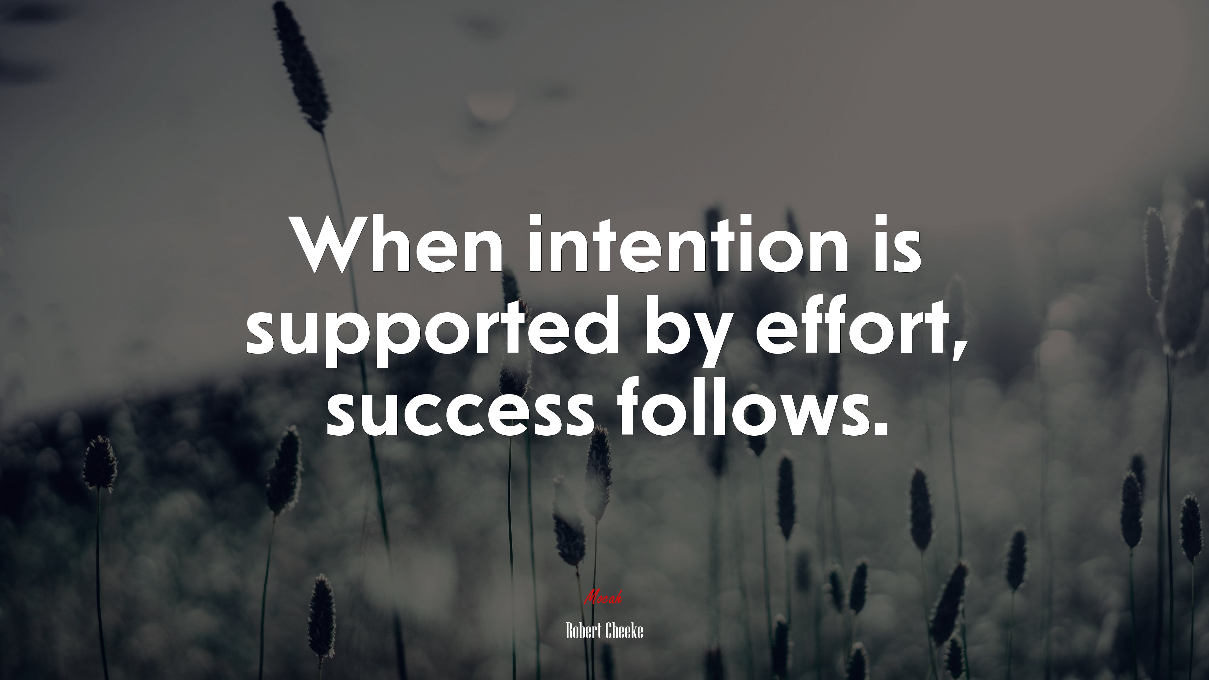 When intention is supported by effort, success follows. | Robert Cheeke quote HD Wallpaper