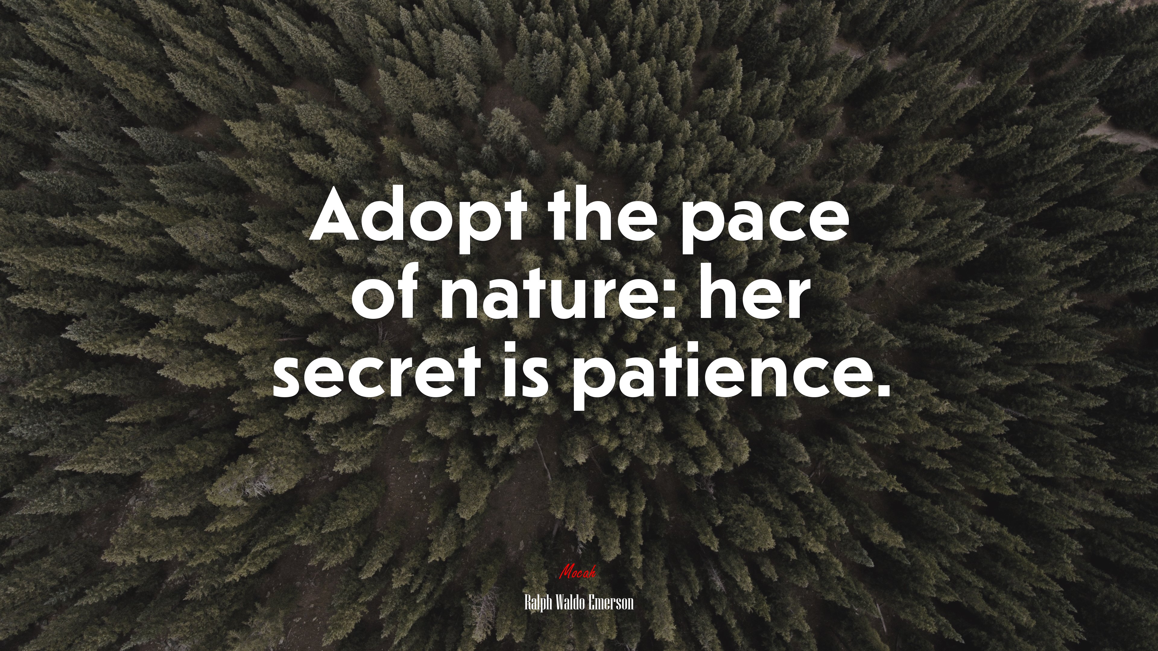 Adopt the pace of nature: her secret is patience. | Ralph Waldo Emerson quote HD Wallpaper