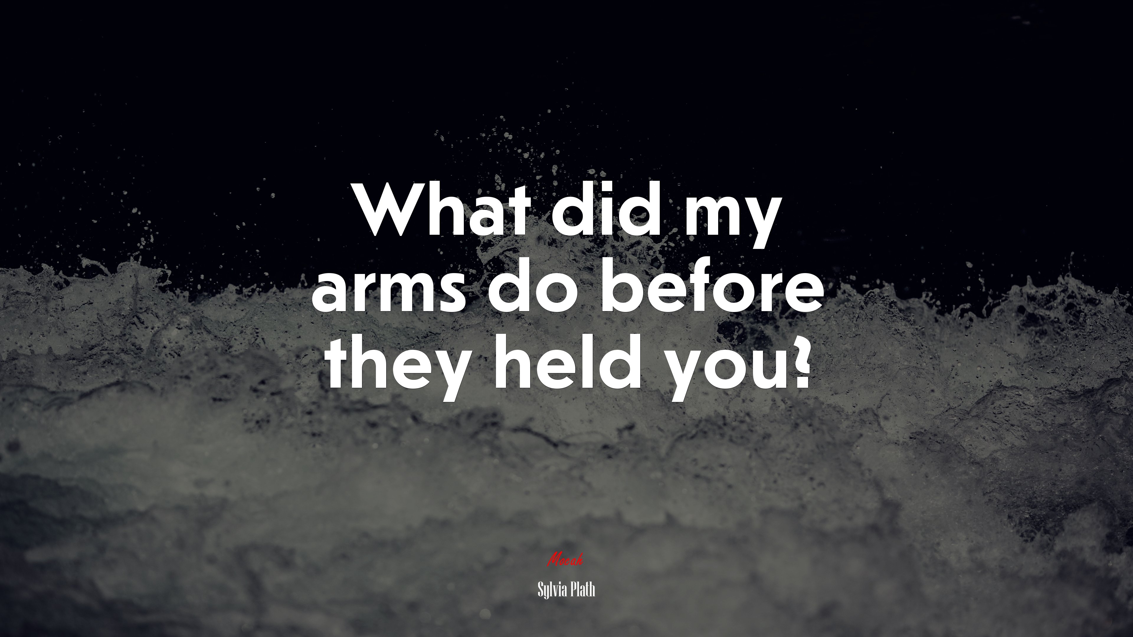 What did my arms do before they held you? | Sylvia Plath quote HD Wallpaper