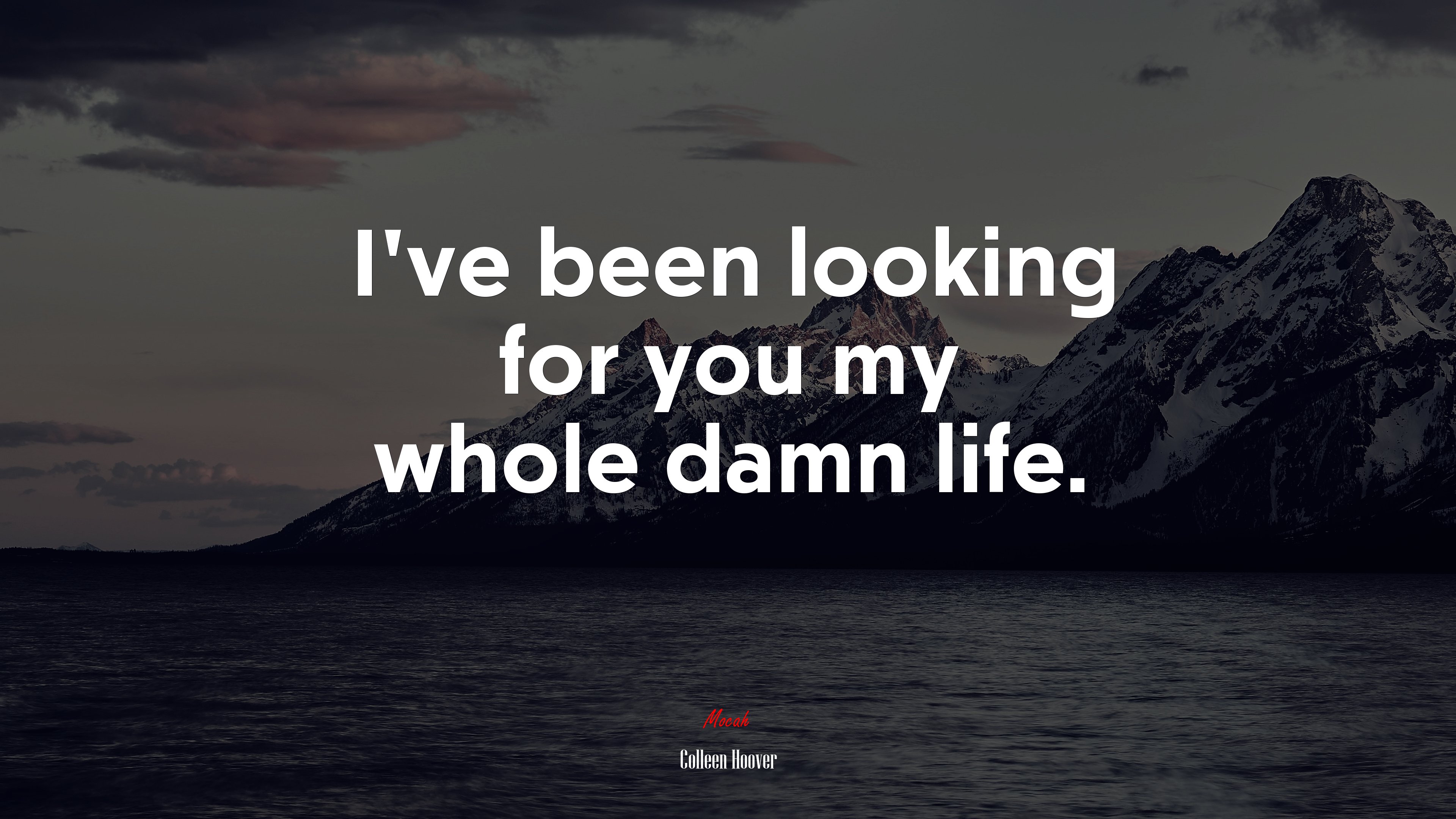 I’ve been looking for you my whole damn life. | Colleen Hoover quote HD Wallpaper