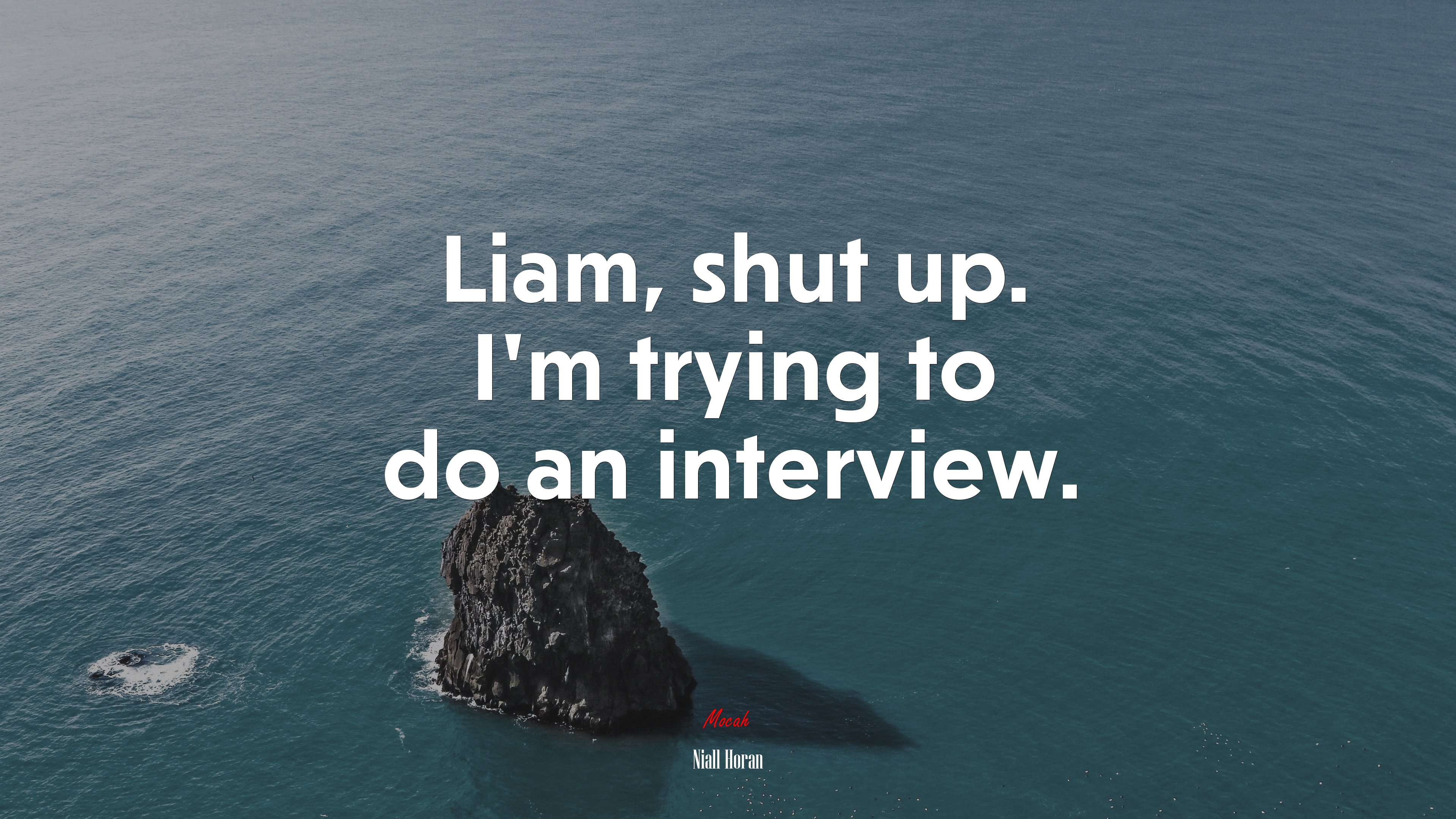 Liam, shut up. I’m trying to do an interview. | Niall Horan quote HD Wallpaper