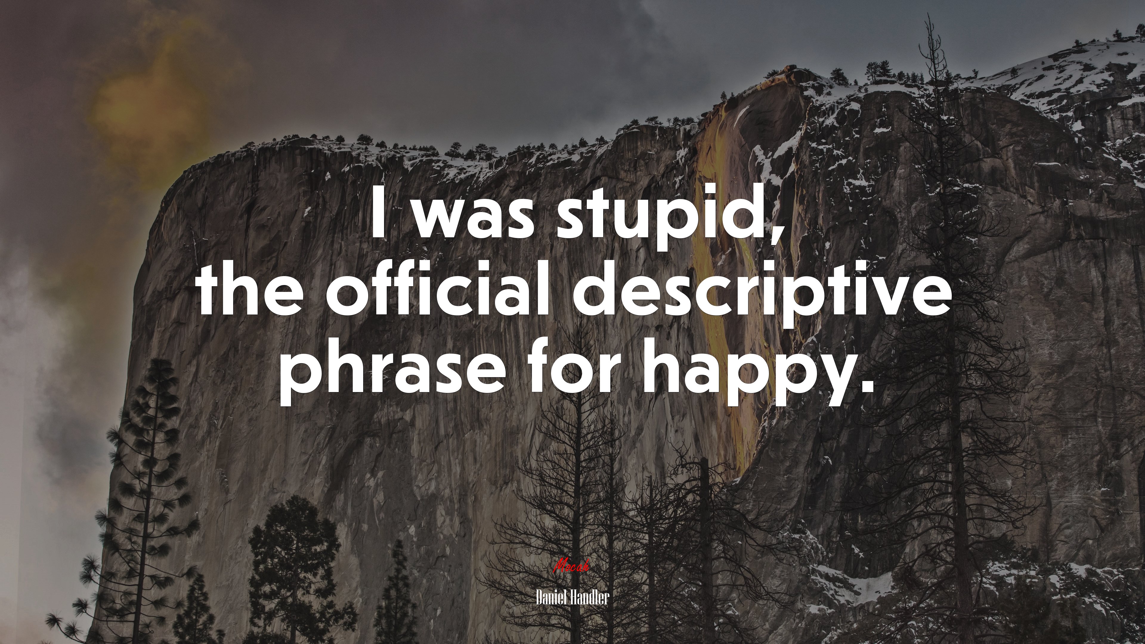 I was stupid, the official descriptive phrase for happy. | Daniel Handler quote HD Wallpaper