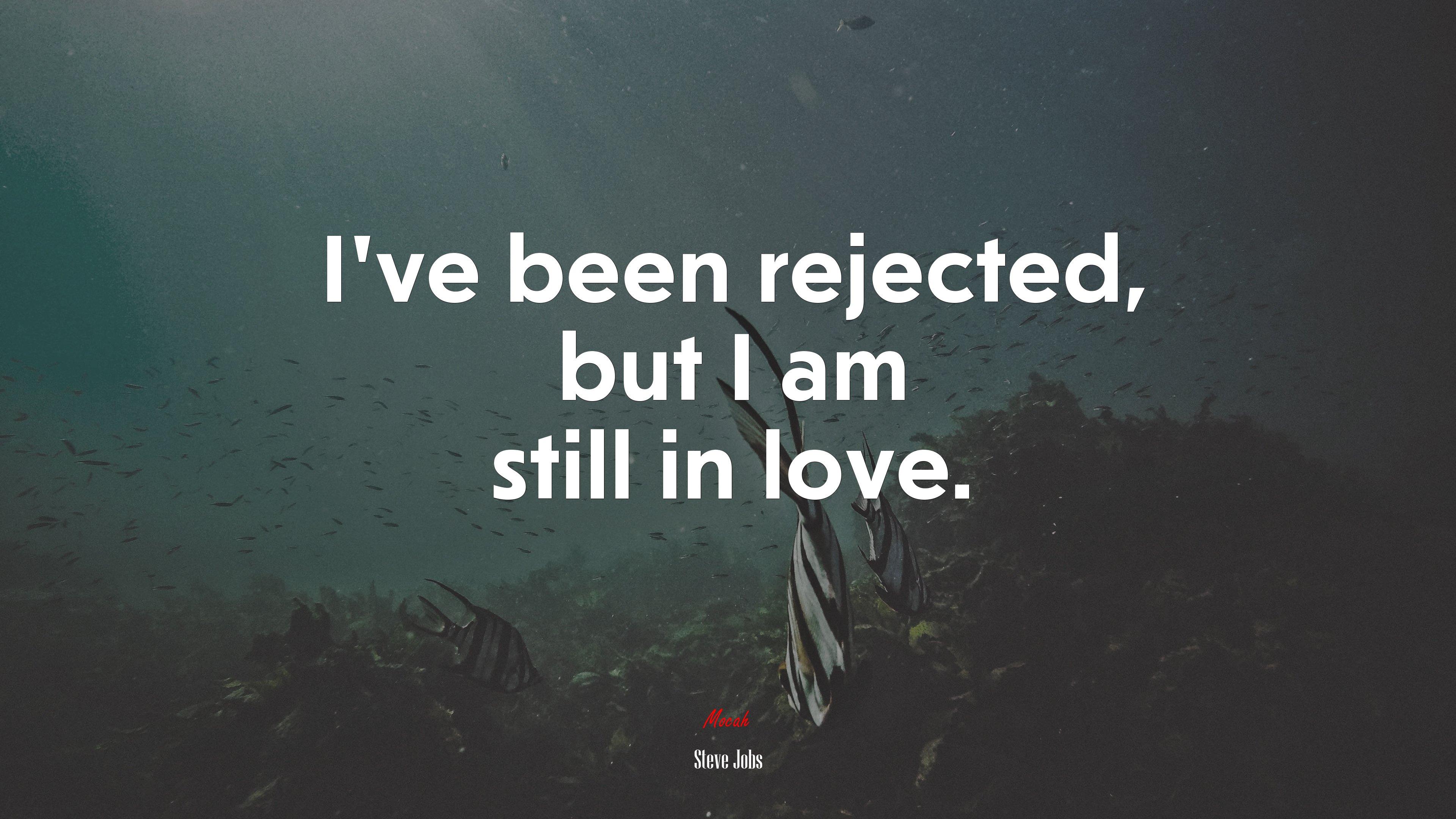 I’ve been rejected, but I am still in love. | Steve Jobs quote HD Wallpaper