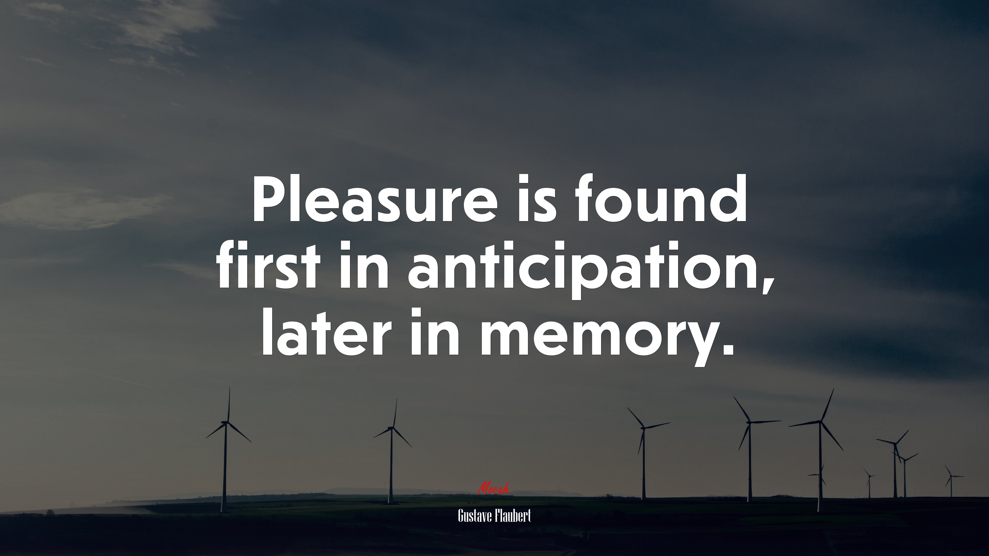 Pleasure is found first in anticipation, later in memory. | Gustave Flaubert quote HD Wallpaper