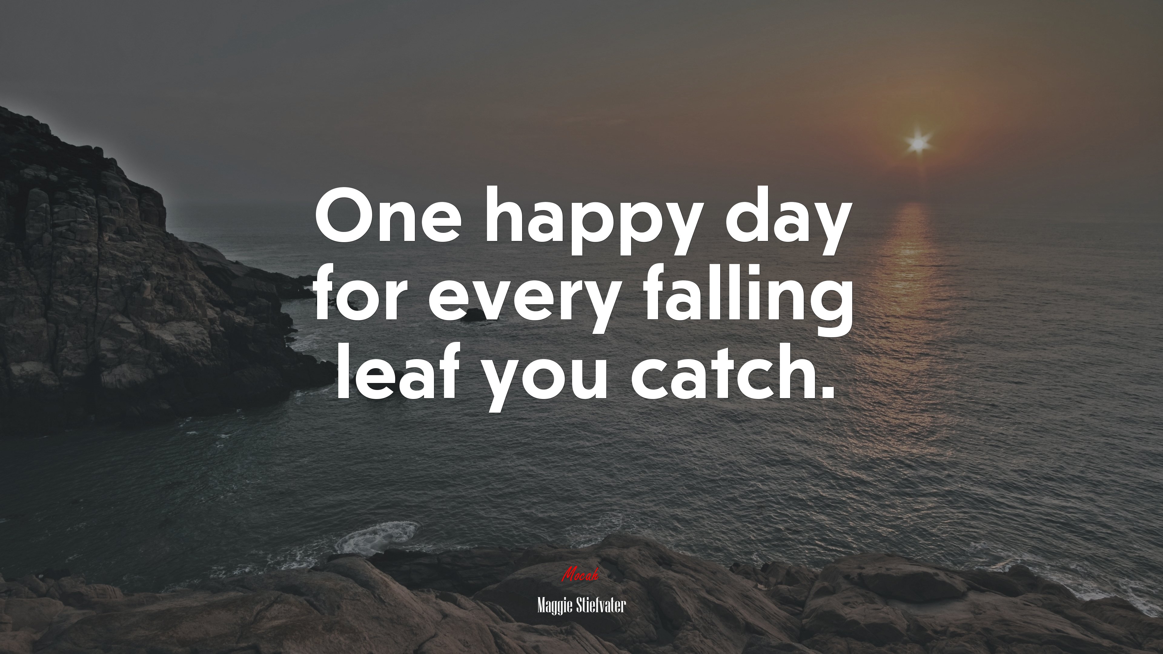 One happy day for every falling leaf you catch. | Maggie Stiefvater quote HD Wallpaper