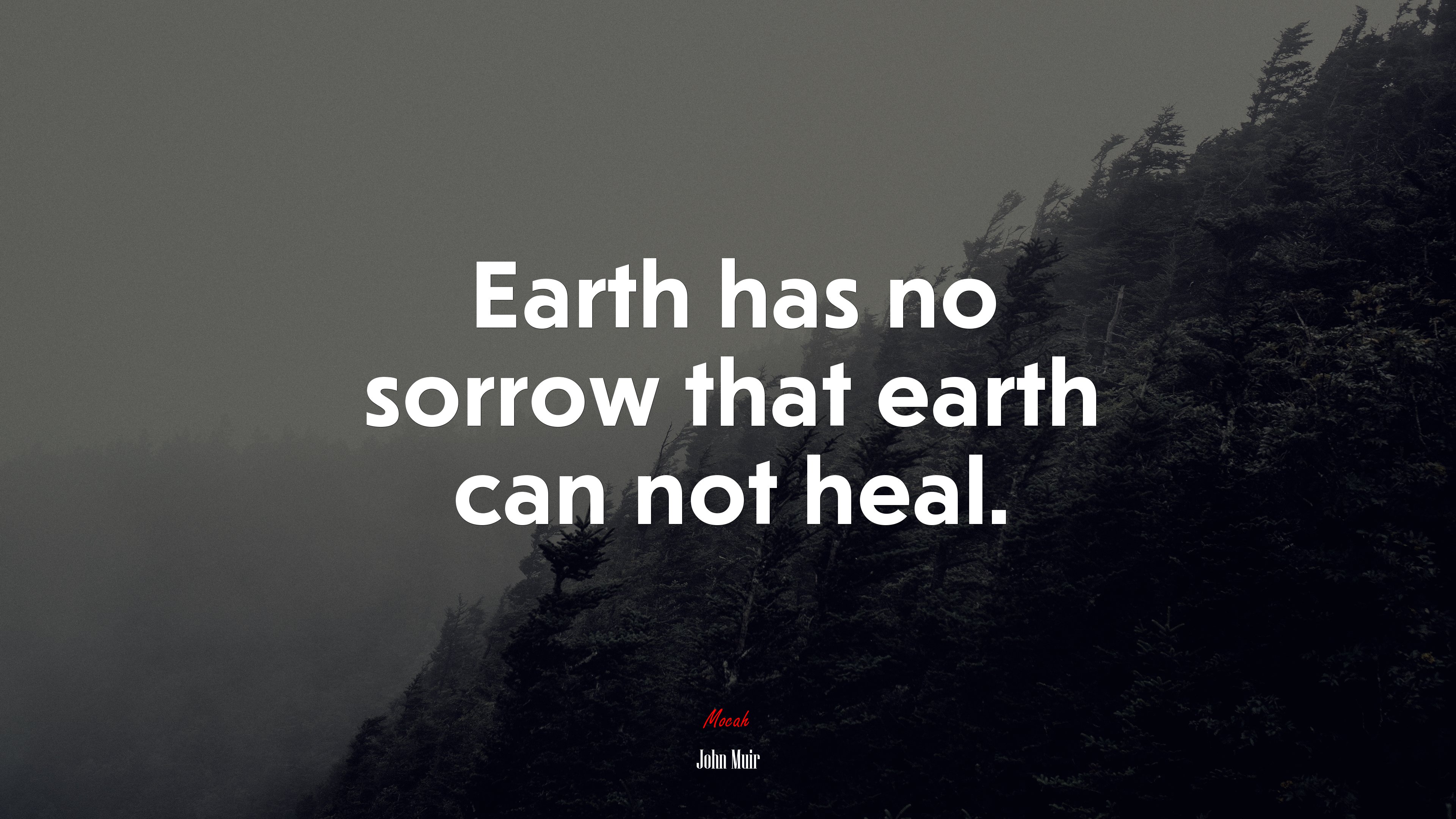 Earth has no sorrow that earth can not heal. | John Muir quote HD Wallpaper