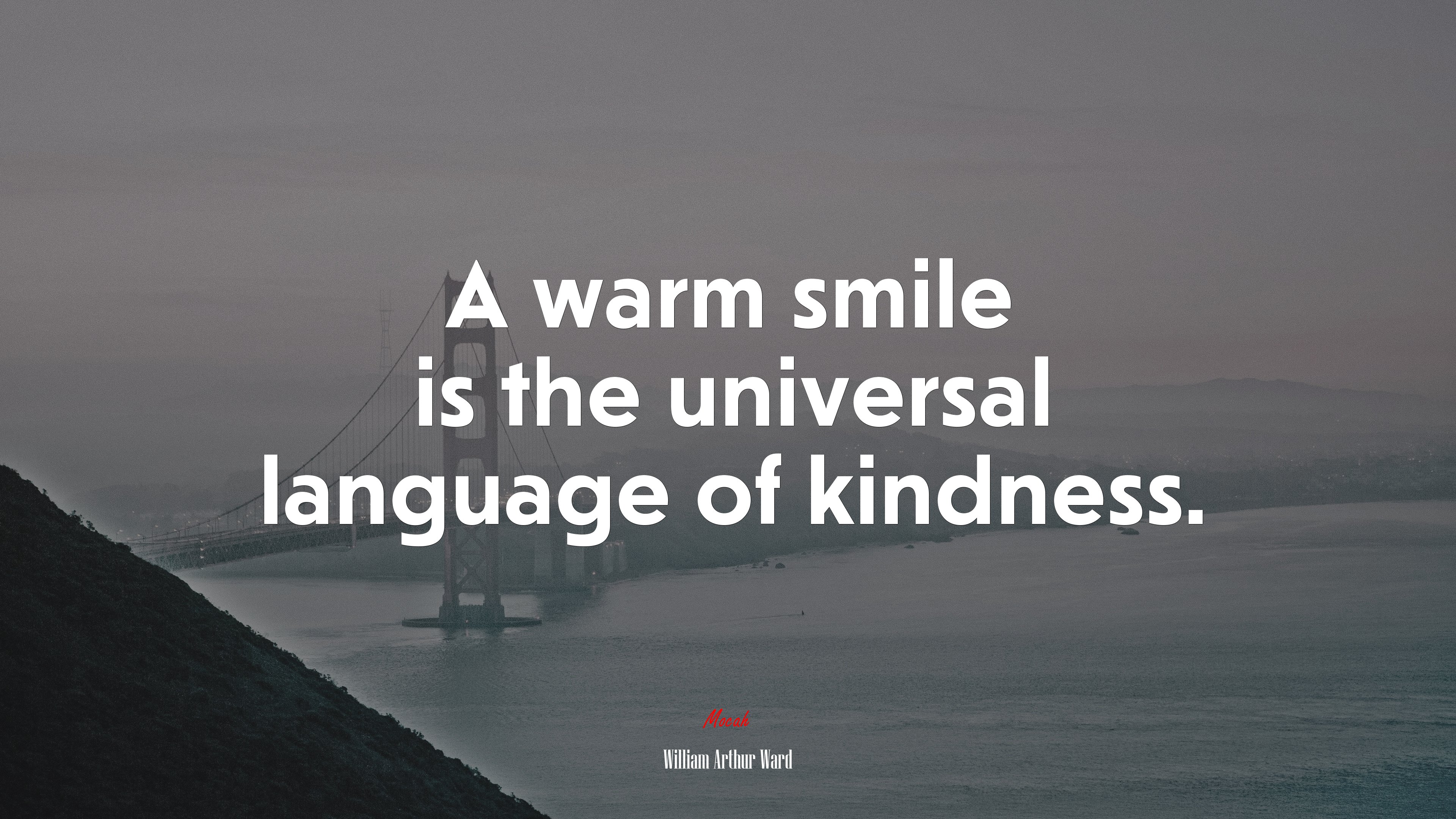 A warm smile is the universal language of kindness. | William Arthur Ward quote HD Wallpaper