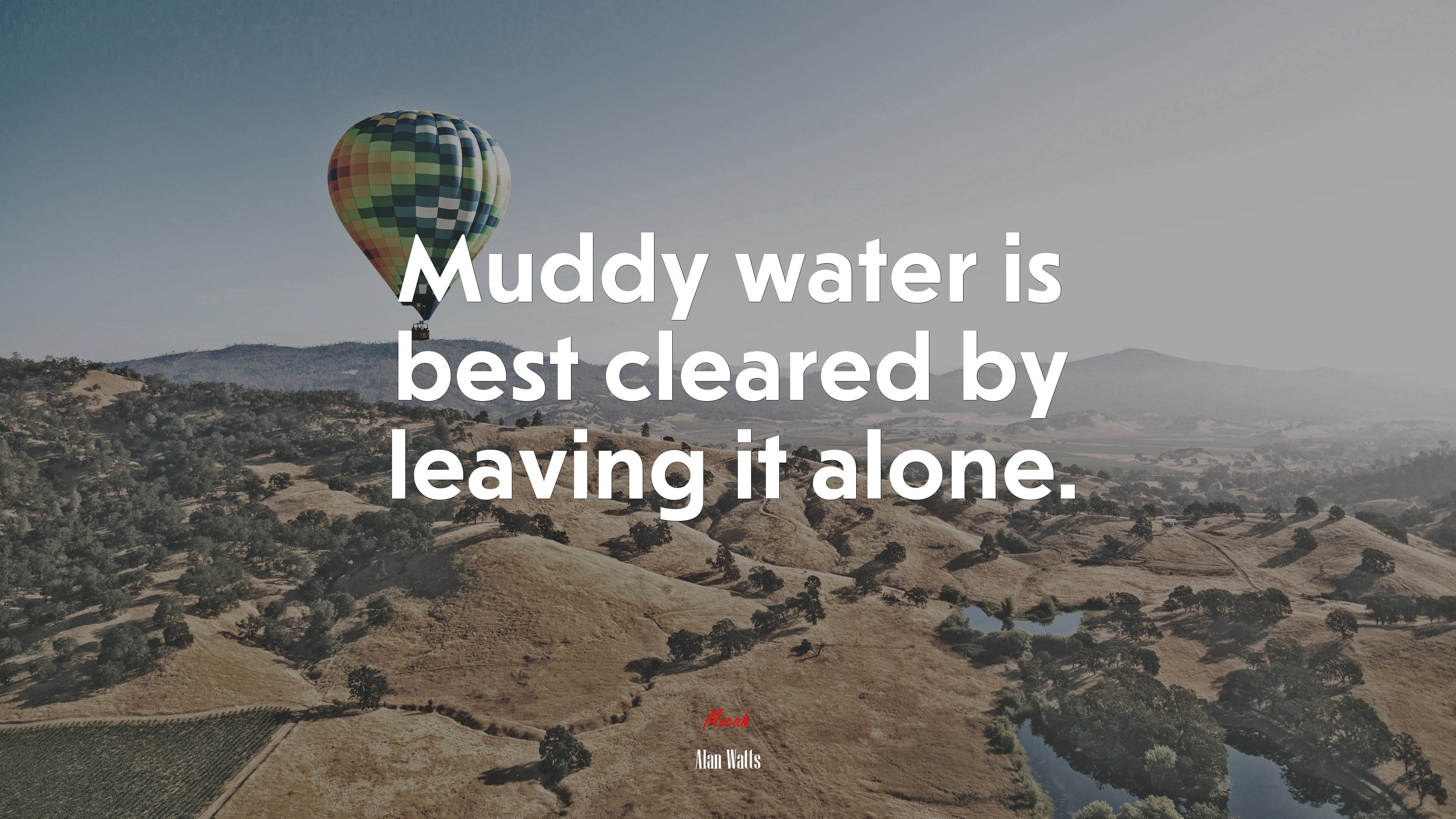Muddy water is best cleared by leaving it alone. | Alan Watts quote HD Wallpaper