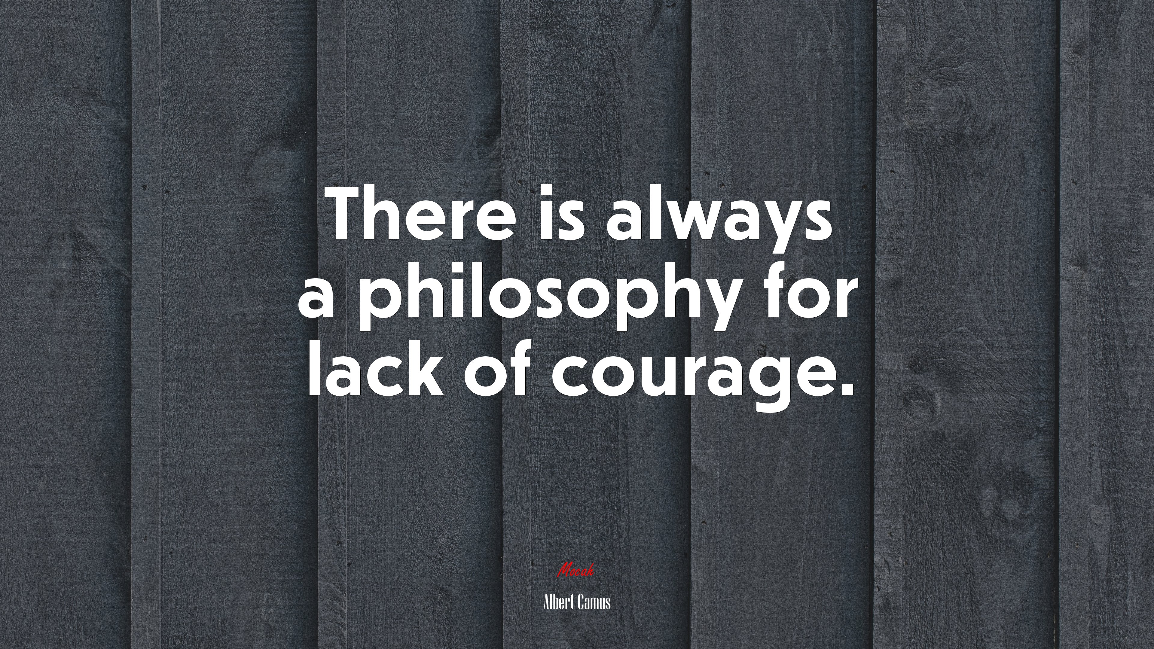 There is always a philosophy for lack of courage. | Albert Camus quote HD Wallpaper