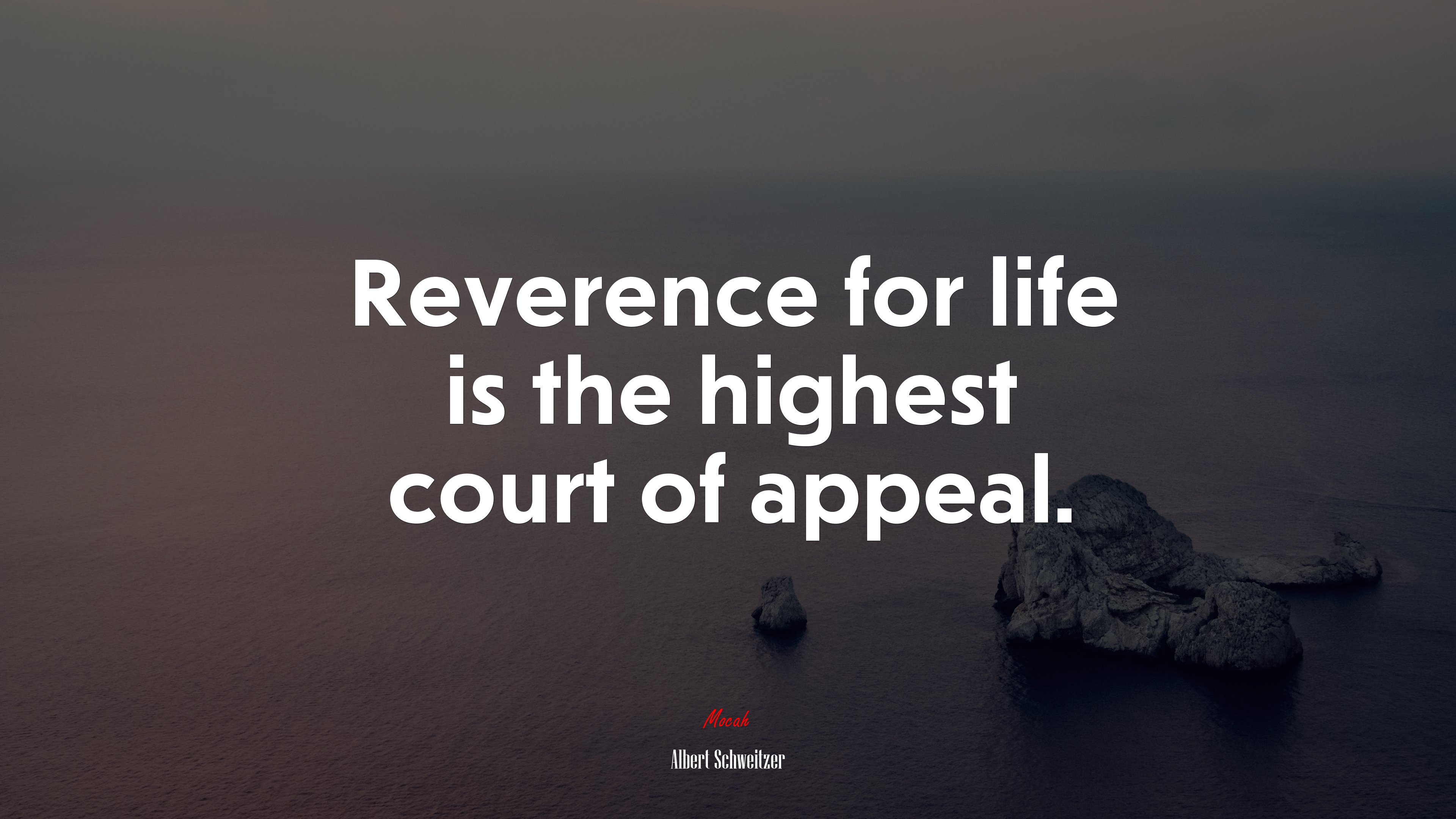 Reverence for life is the highest court of appeal. | Albert Schweitzer quote HD Wallpaper
