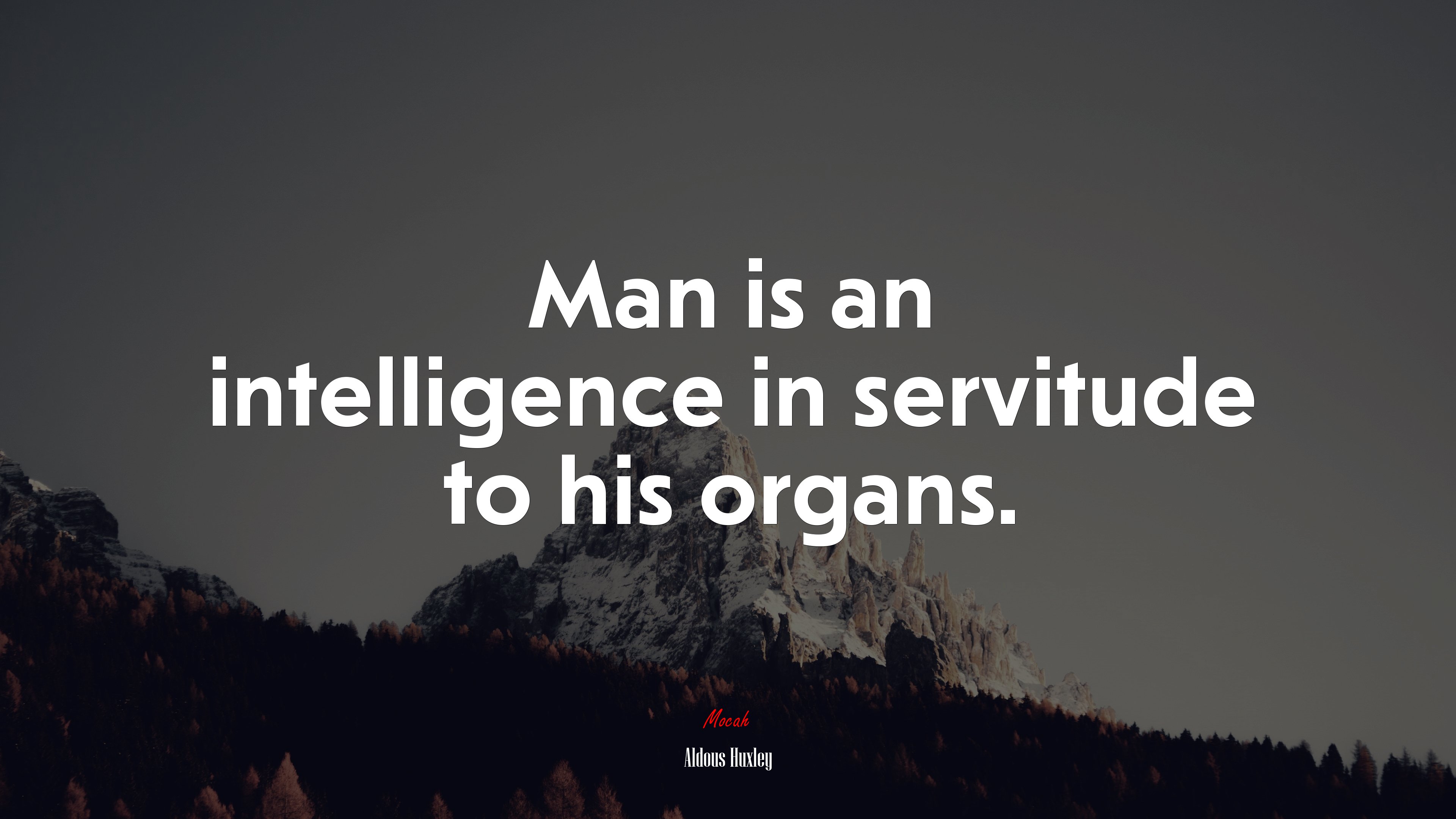 Man is an intelligence in servitude to his organs. | Aldous Huxley quote HD Wallpaper