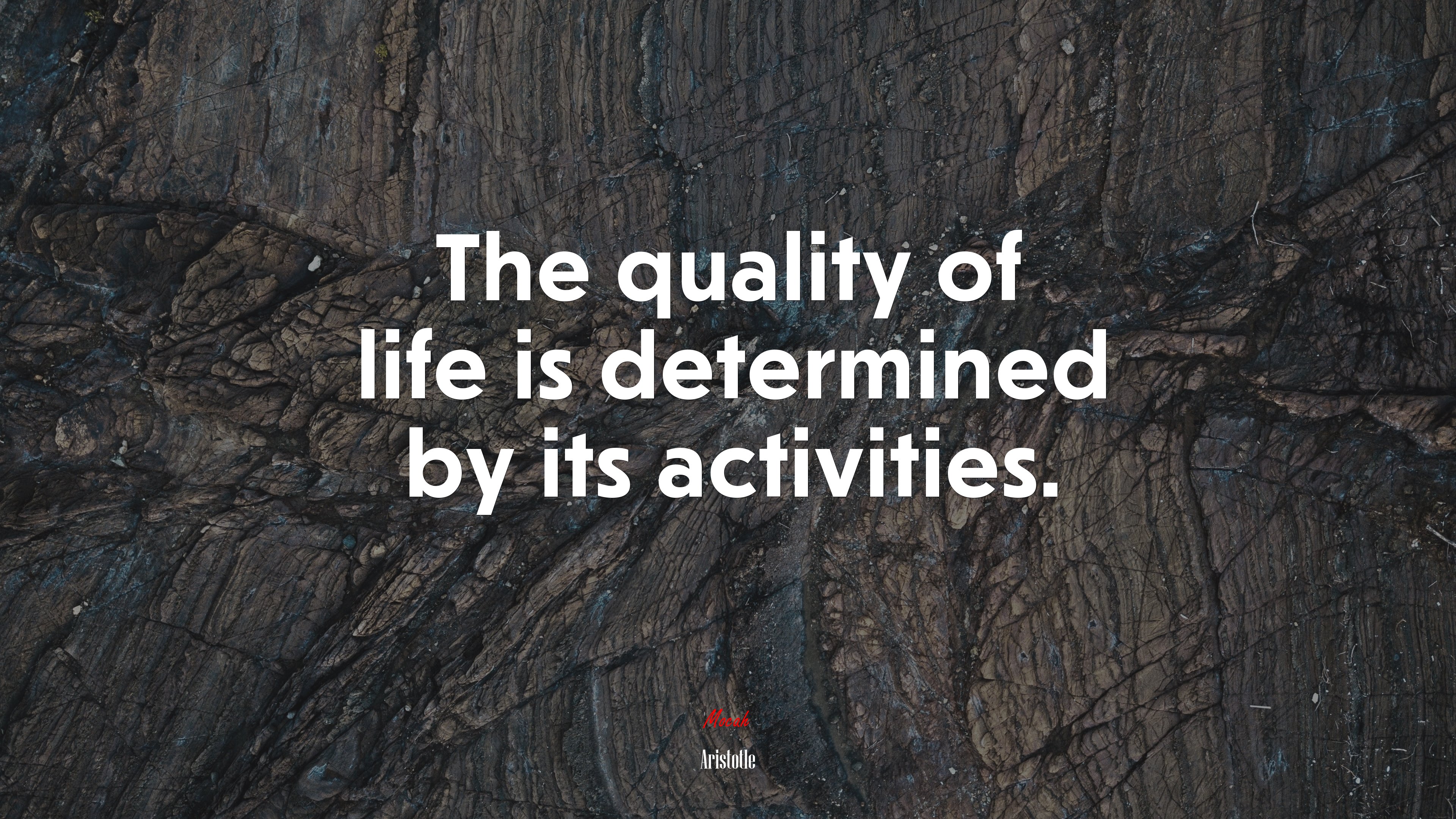 The quality of life is determined by its activities. | Aristotle quote HD Wallpaper