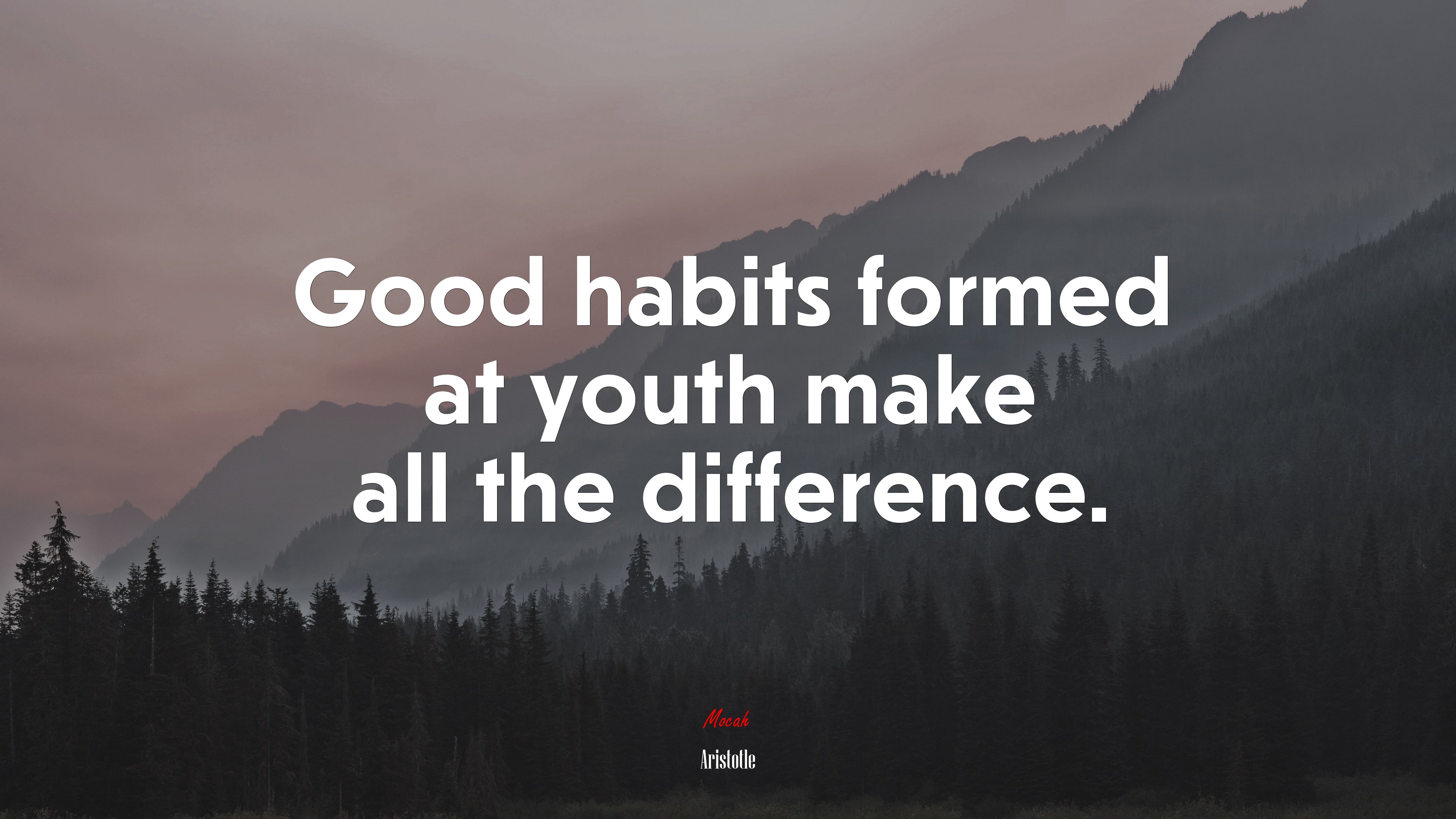 Good habits formed at youth make all the difference. | Aristotle quote HD Wallpaper