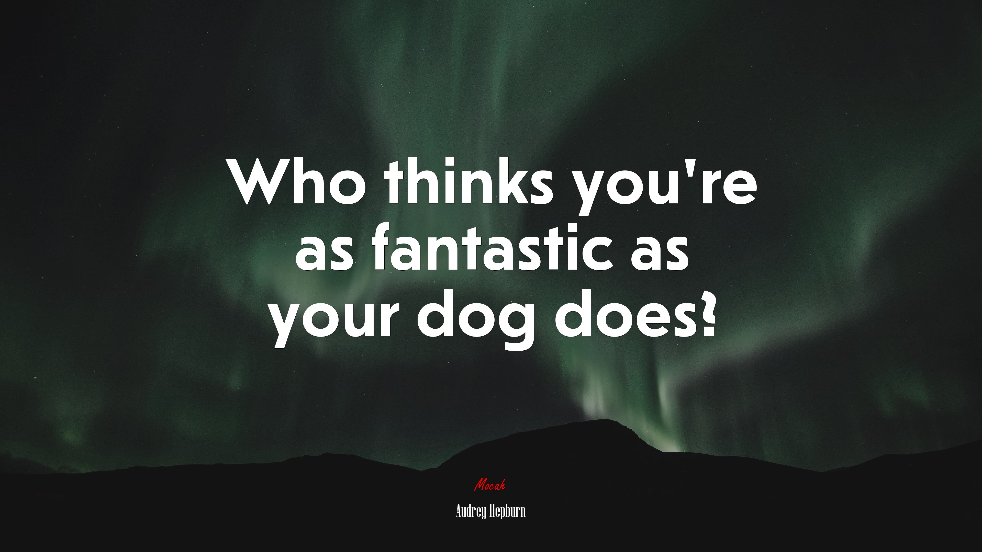 Who thinks you’re as fantastic as your dog does? | Audrey Hepburn quote HD Wallpaper