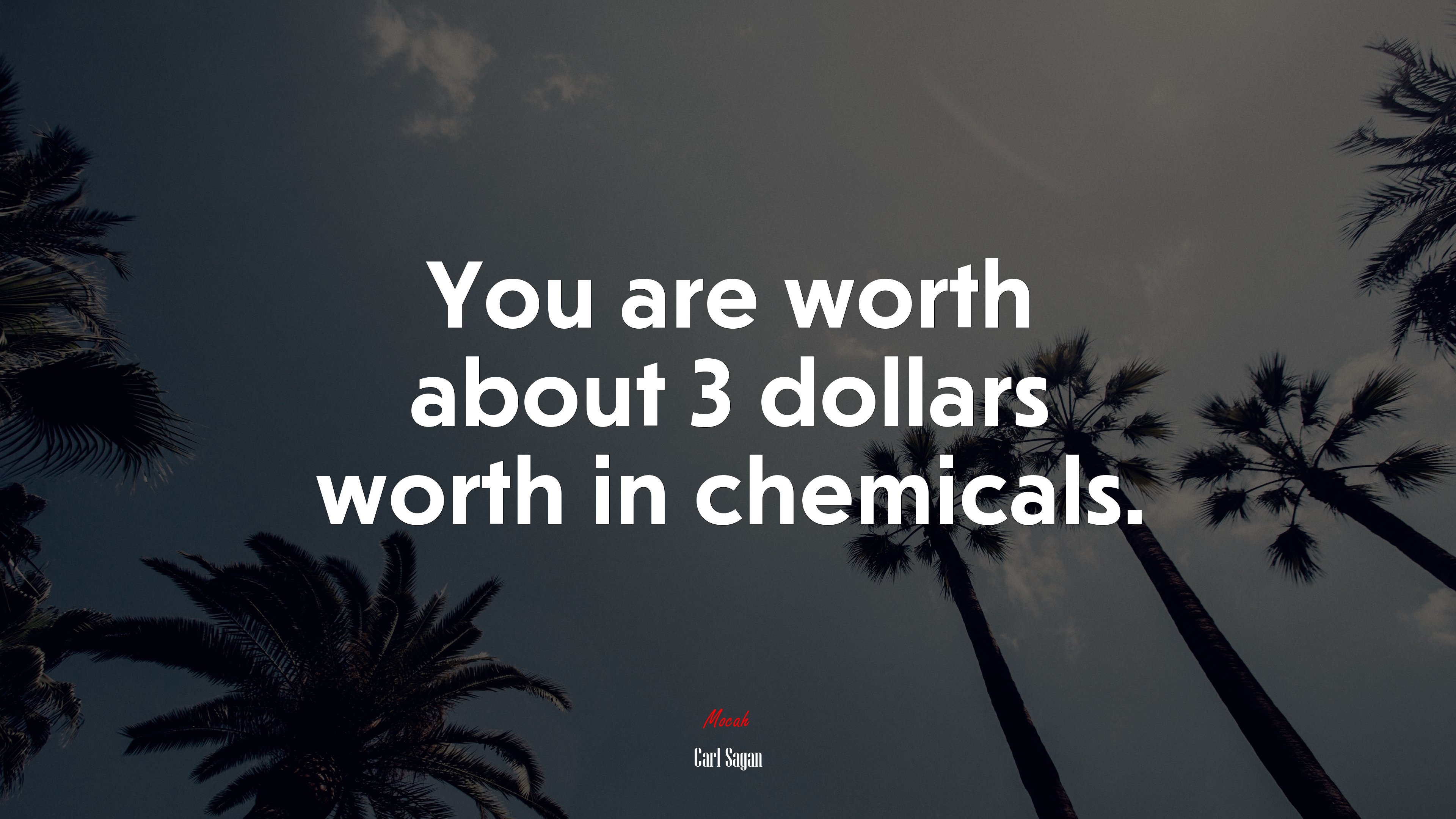 You are worth about 3 dollars worth in chemicals. | Carl Sagan quote HD Wallpaper