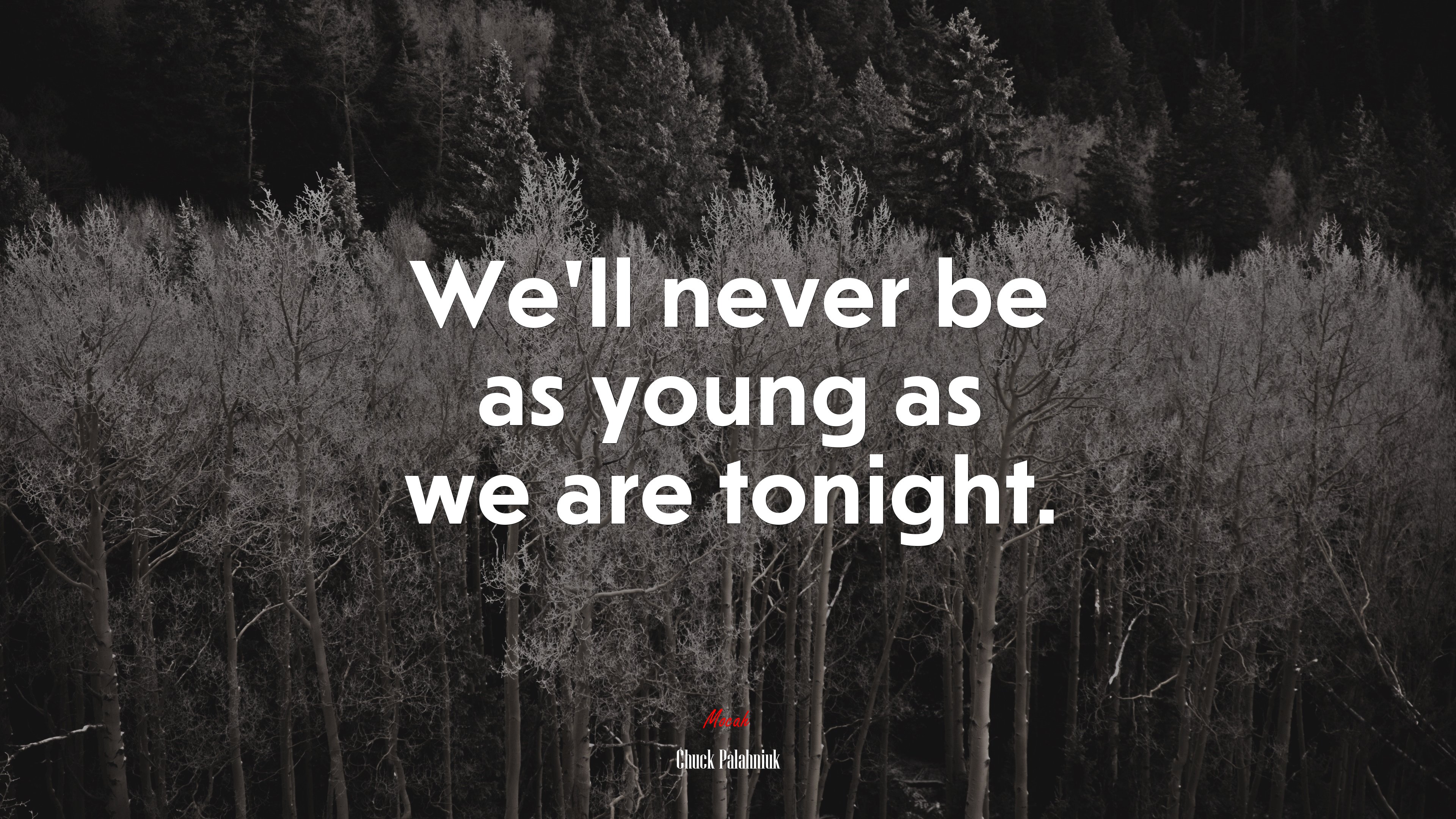 We’ll never be as young as we are tonight. | Chuck Palahniuk quote HD Wallpaper