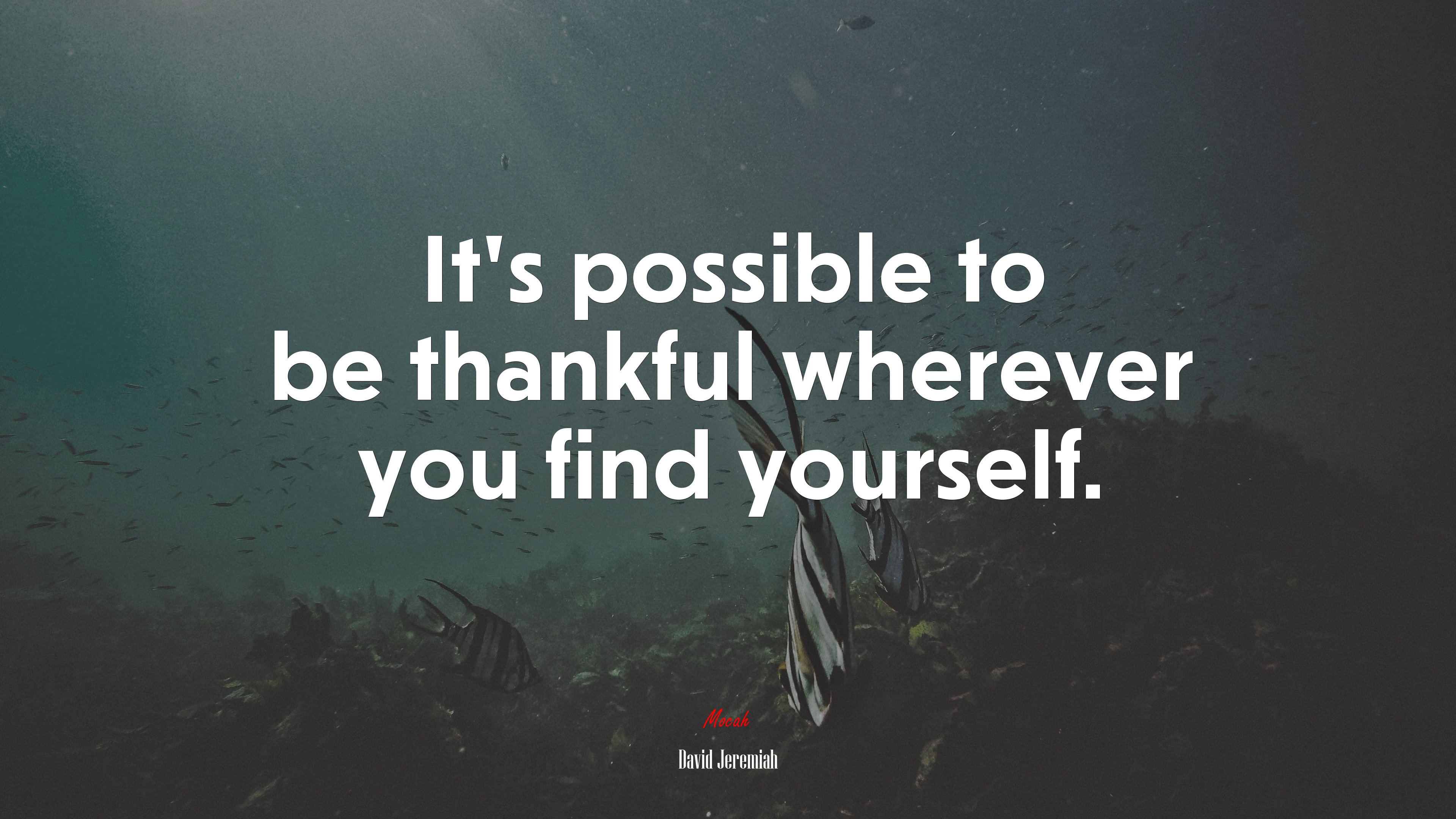 It’s possible to be thankful wherever you find yourself. | David Jeremiah quote HD Wallpaper