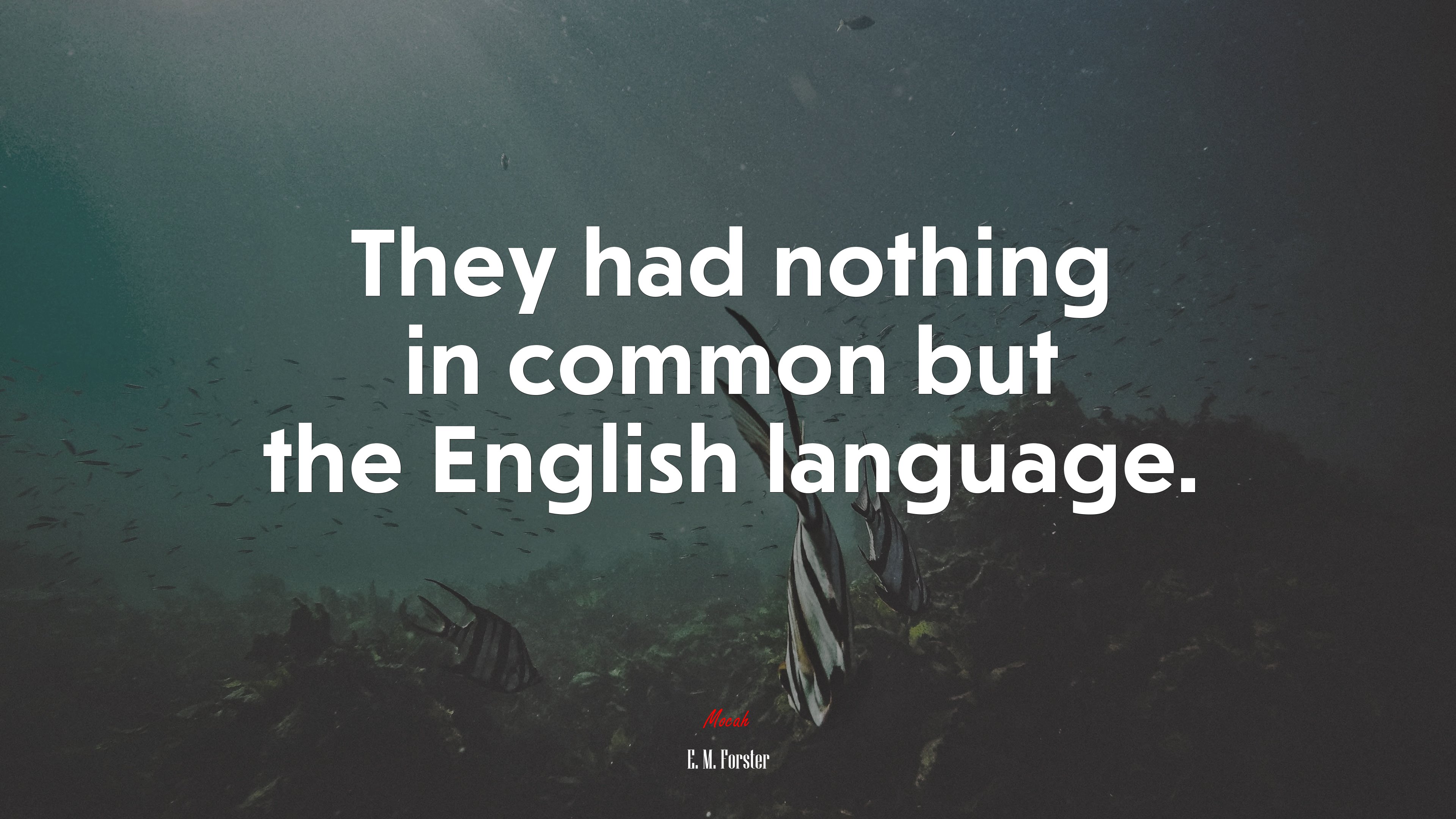 They had nothing in common but the English language. | E. M. Forster quote HD Wallpaper
