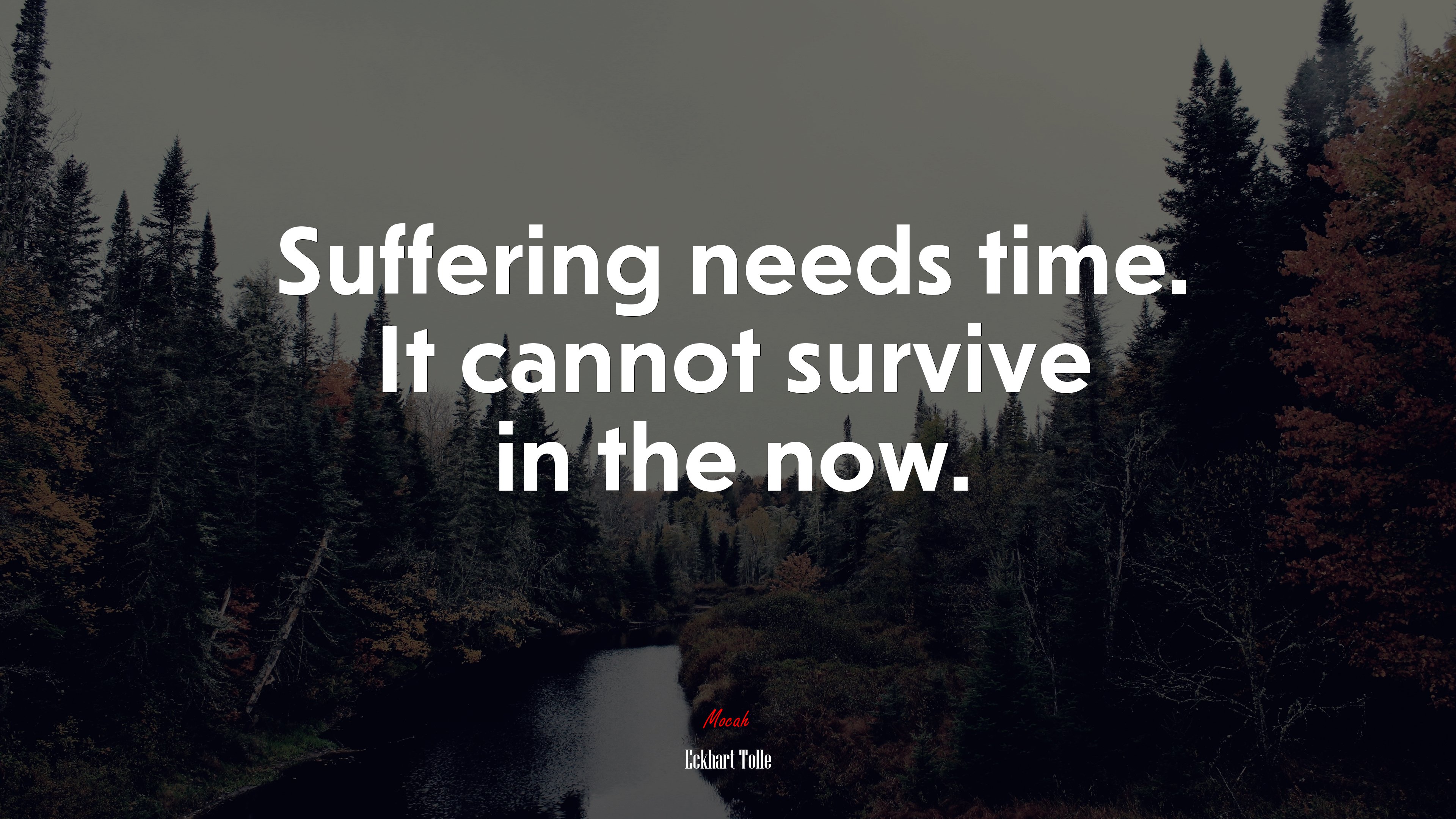 Suffering needs time. It cannot survive in the now. | Eckhart Tolle quote HD Wallpaper