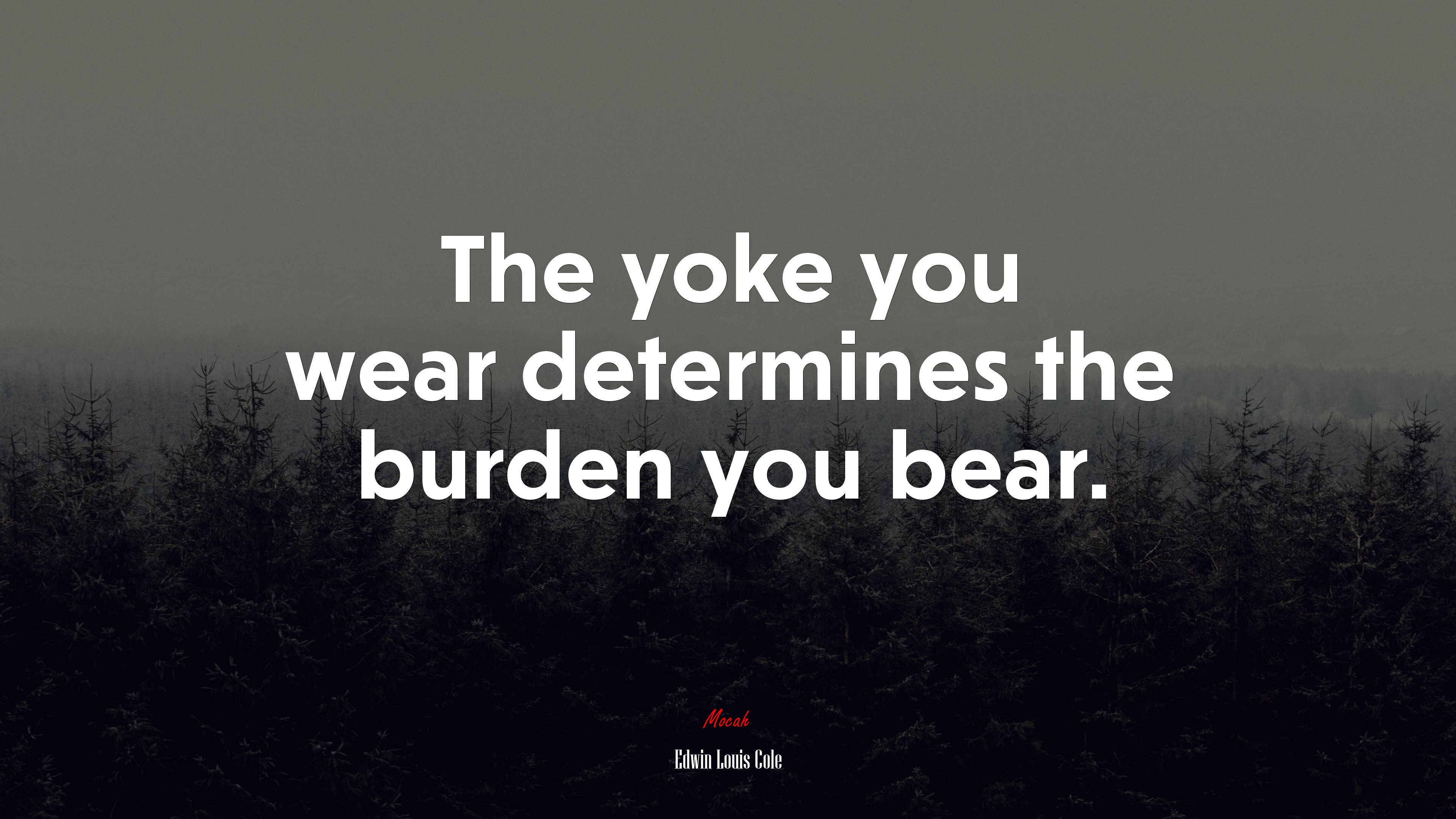 The yoke you wear determines the burden you bear. | Edwin Louis Cole quote HD Wallpaper
