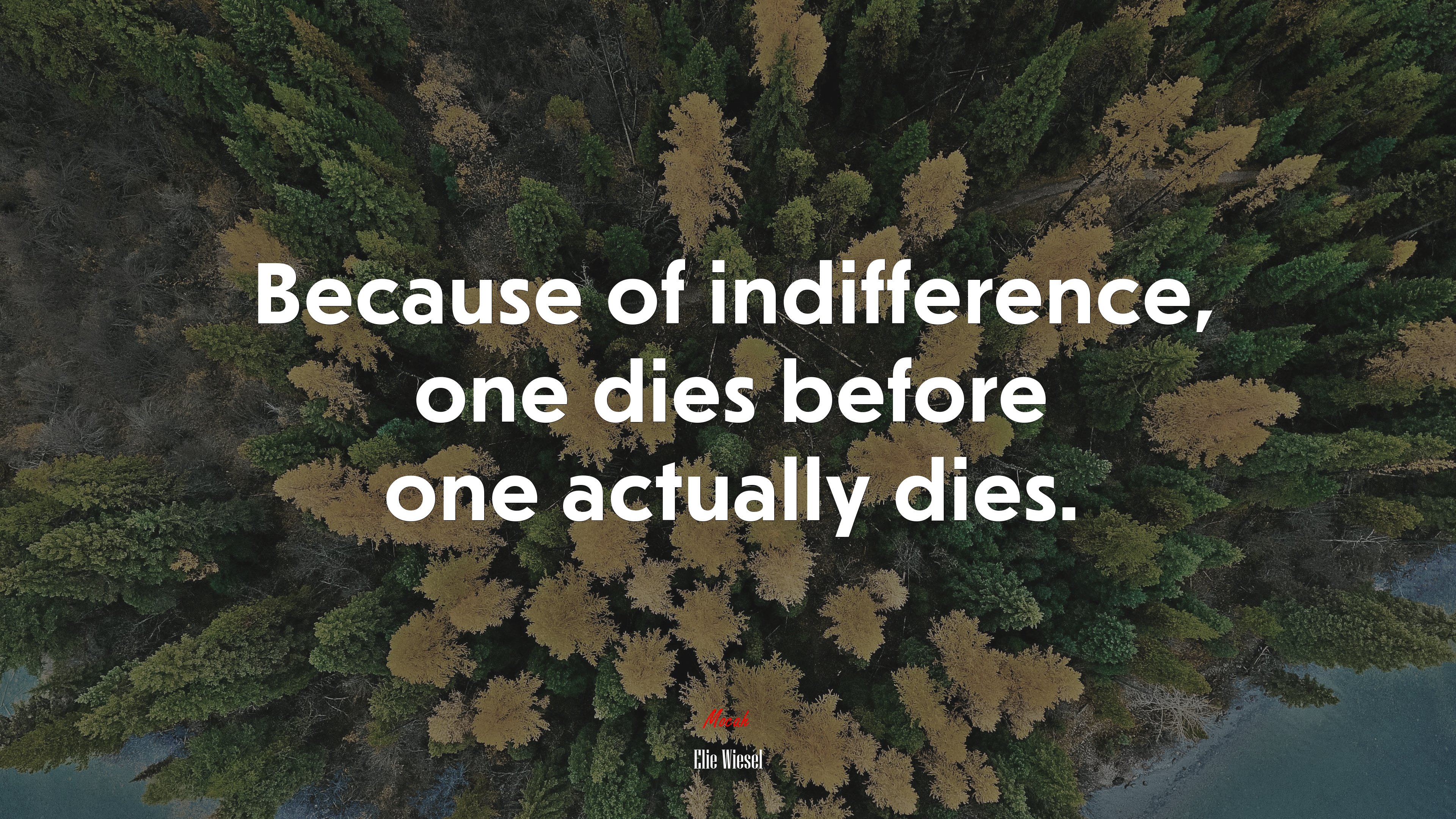 Because of indifference, one dies before one actually dies. | Elie Wiesel quote HD Wallpaper