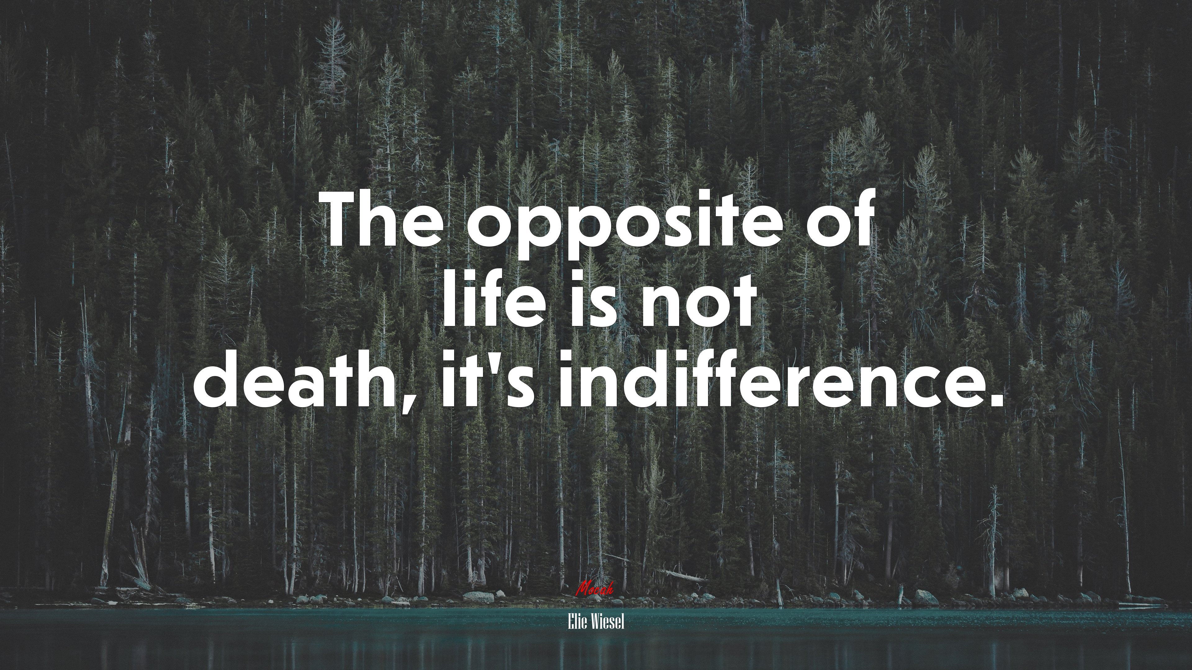 The opposite of life is not death, it’s indifference. | Elie Wiesel quote HD Wallpaper