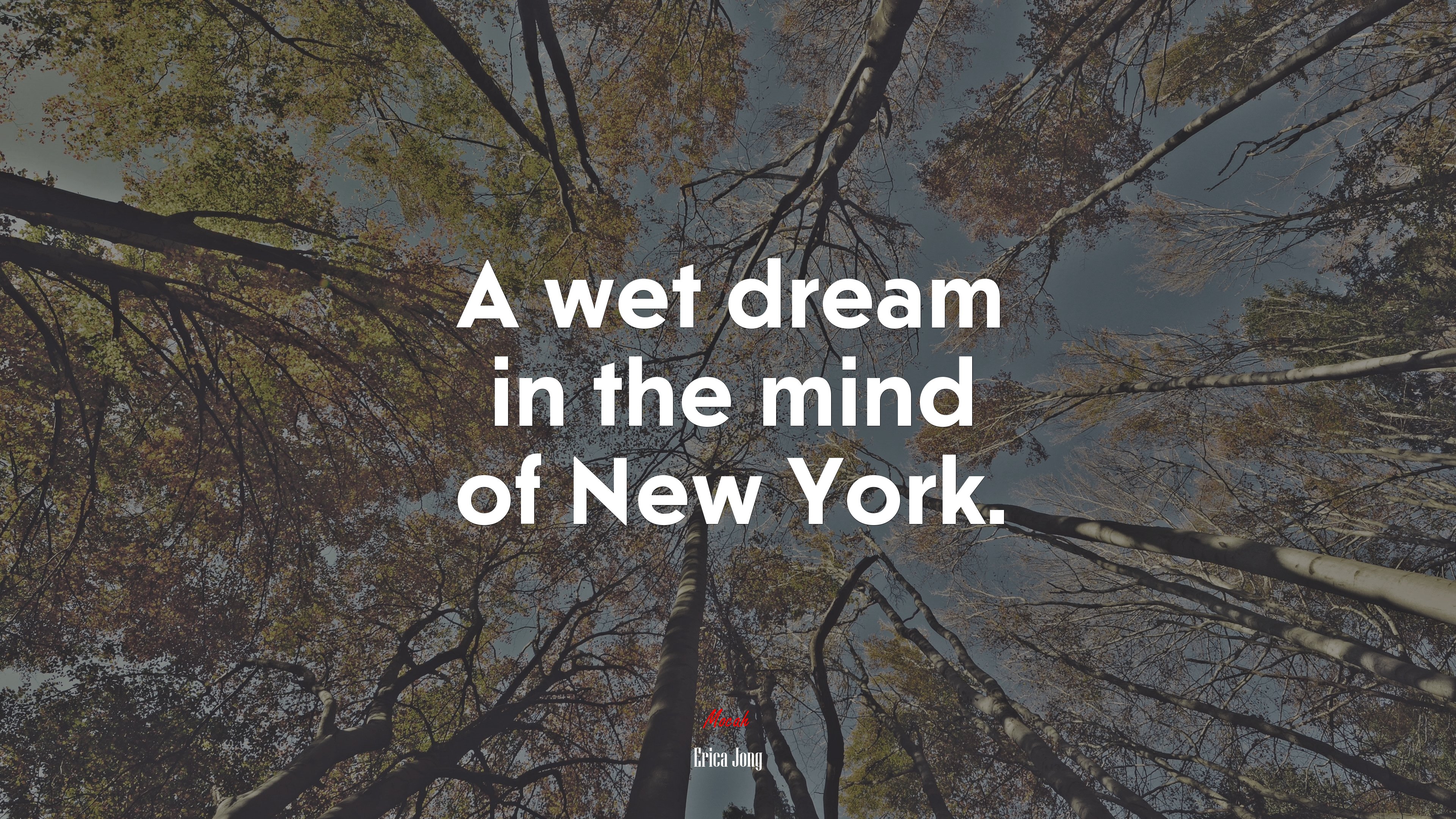 A wet dream in the mind of New York. | Erica Jong quote HD Wallpaper