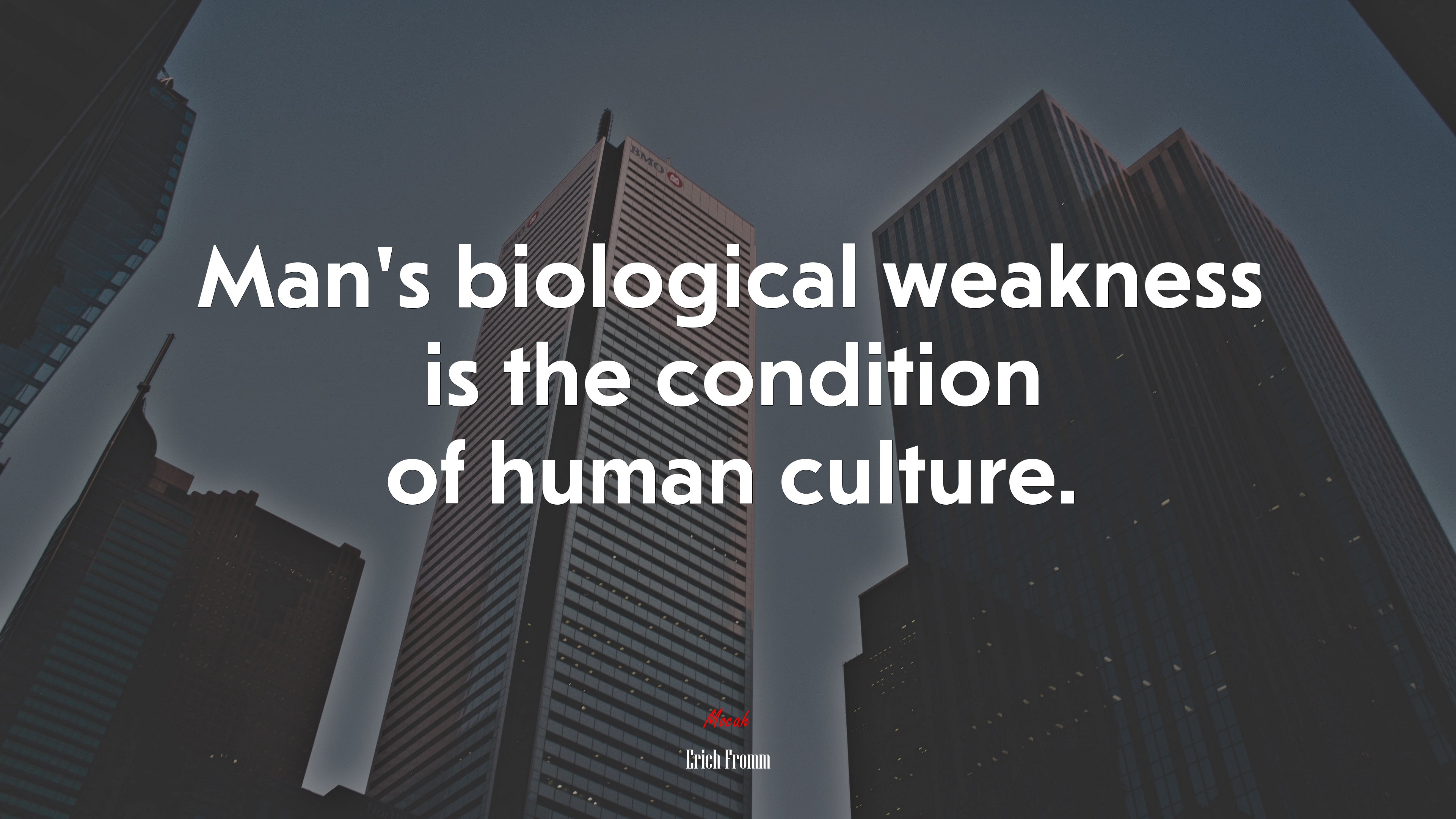Man’s biological weakness is the condition of human culture. | Erich Fromm quote HD Wallpaper