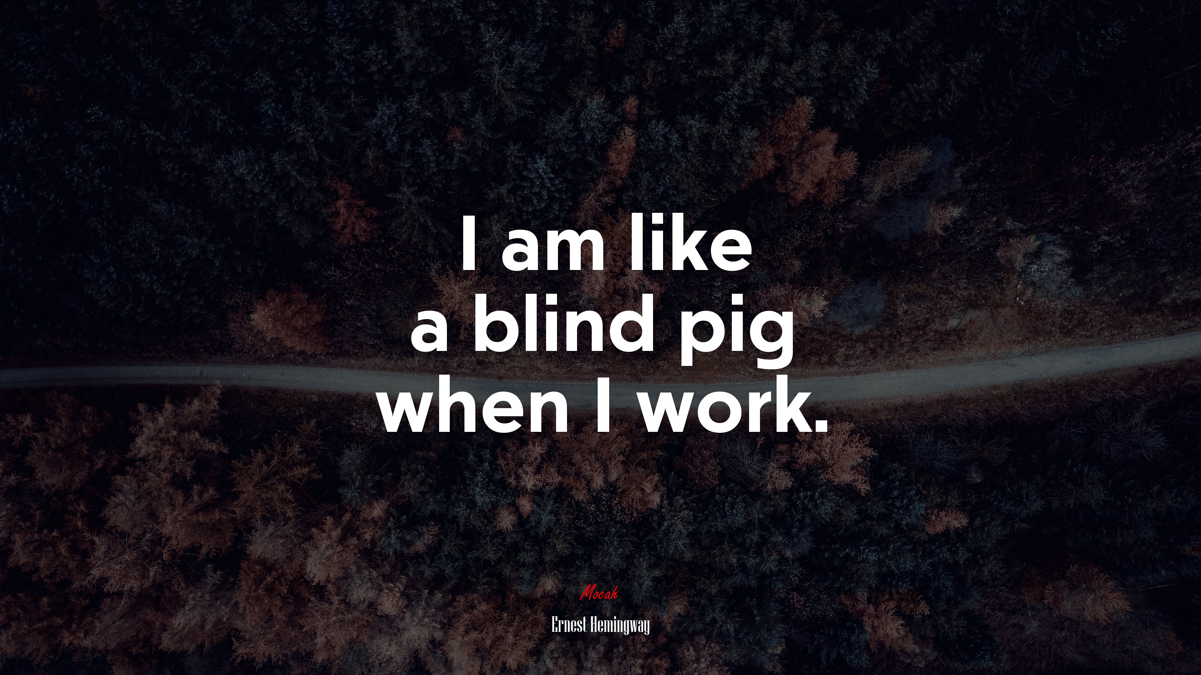 I am like a blind pig when I work. | Ernest Hemingway quote HD Wallpaper