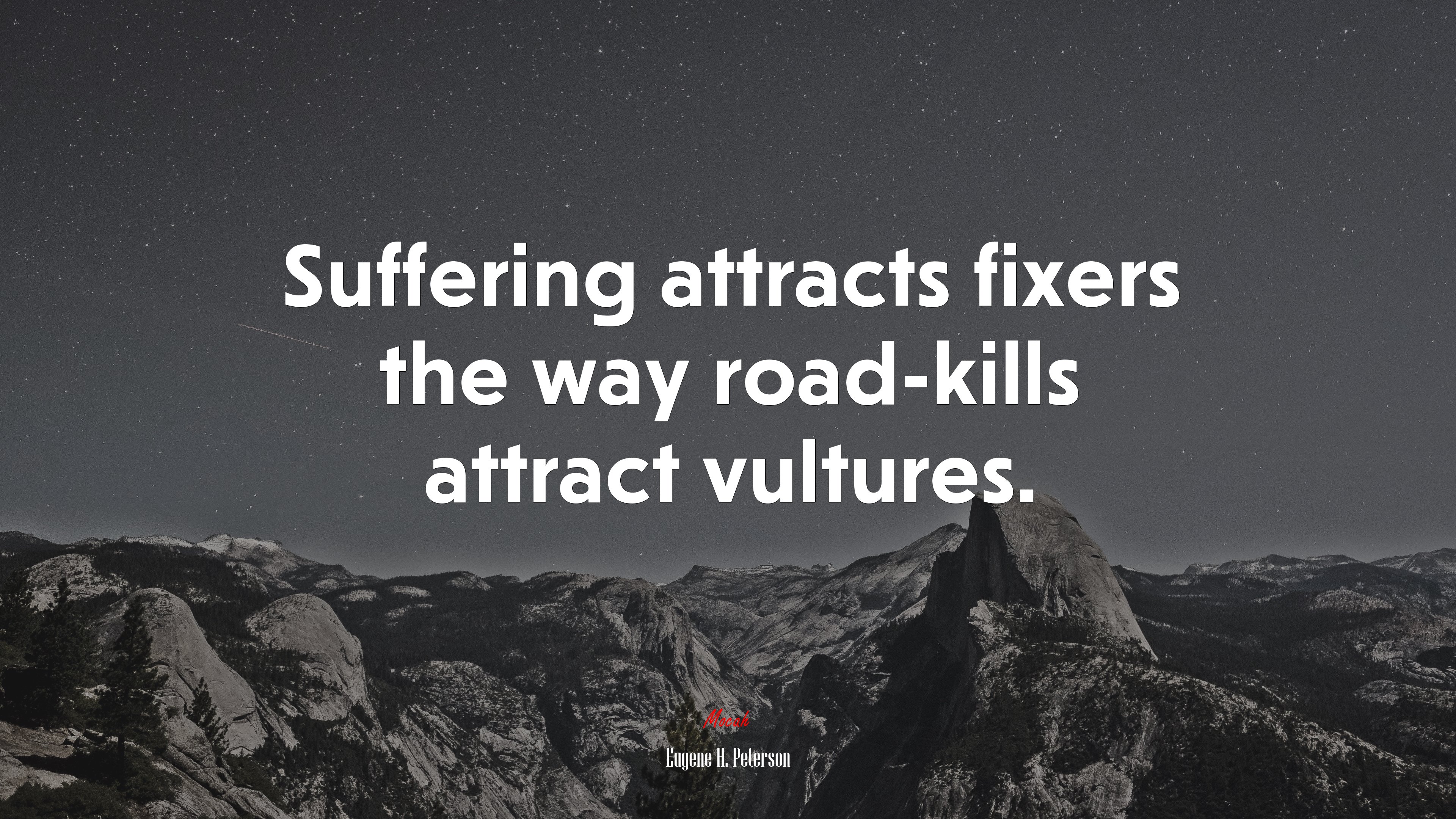 Suffering attracts fixers the way road-kills attract vultures. | Eugene H. Peterson quote HD Wallpaper