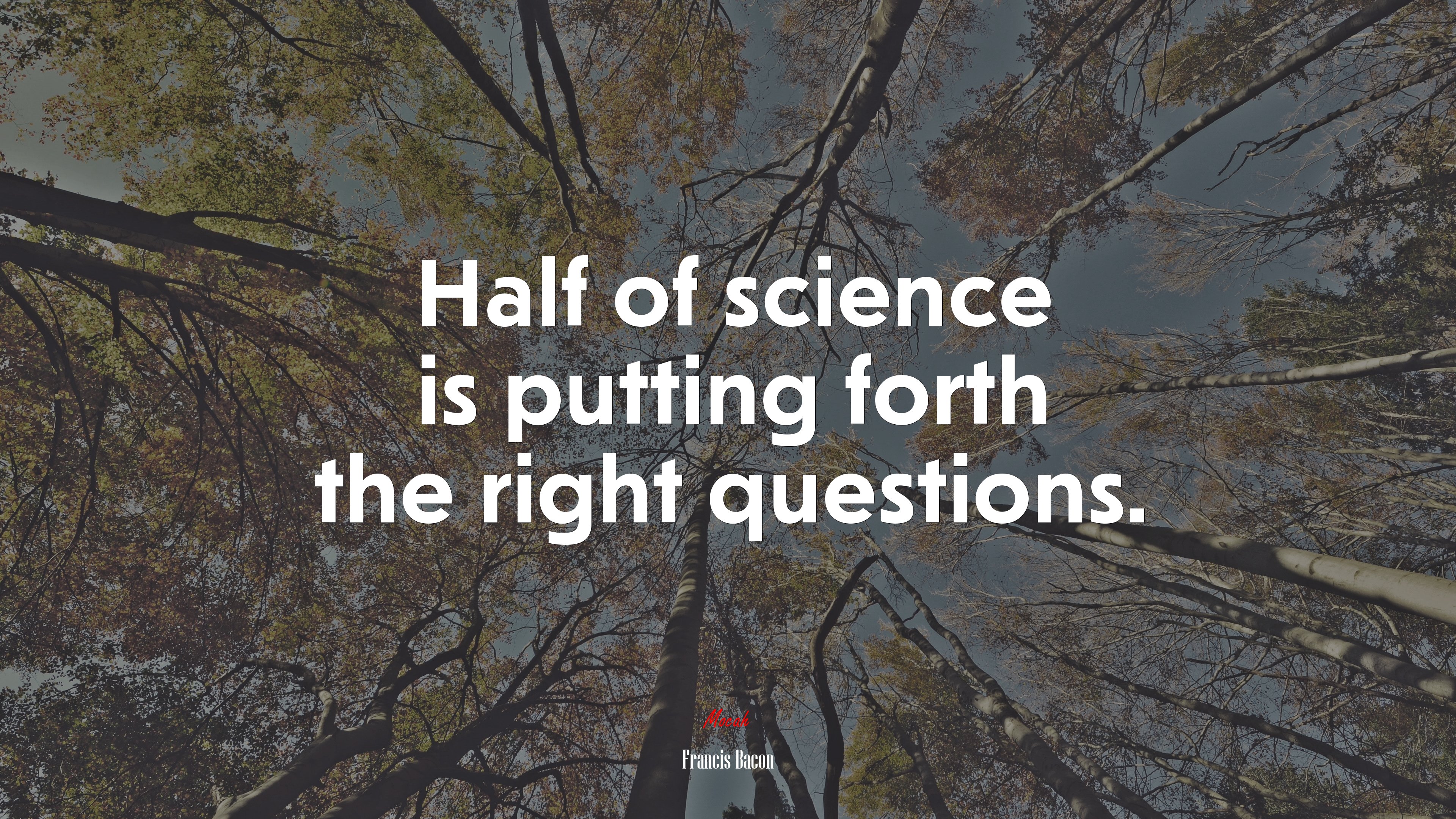 Half of science is putting forth the right questions. | Francis Bacon quote HD Wallpaper