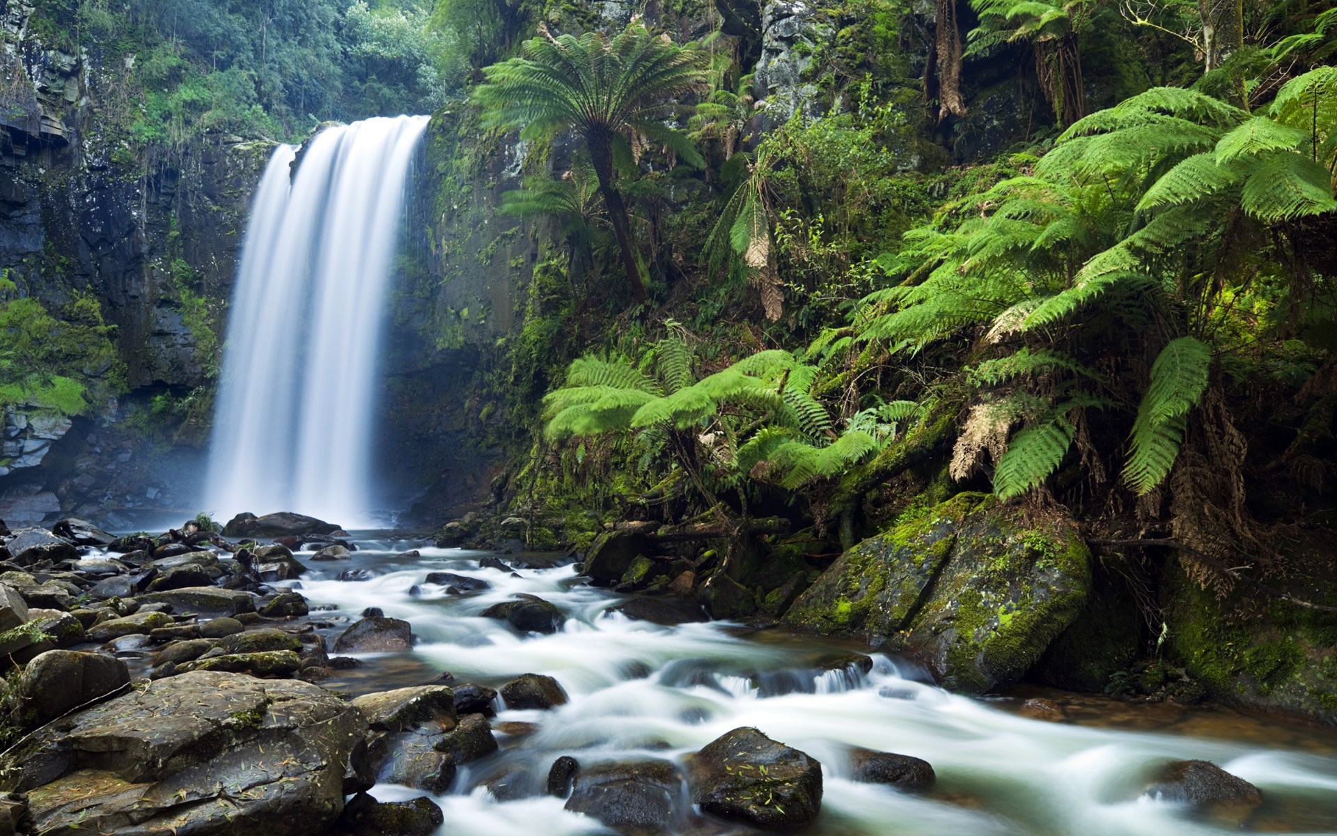 Waterfall cascading into a rocky river surrounded by ferns HD Wallpaper