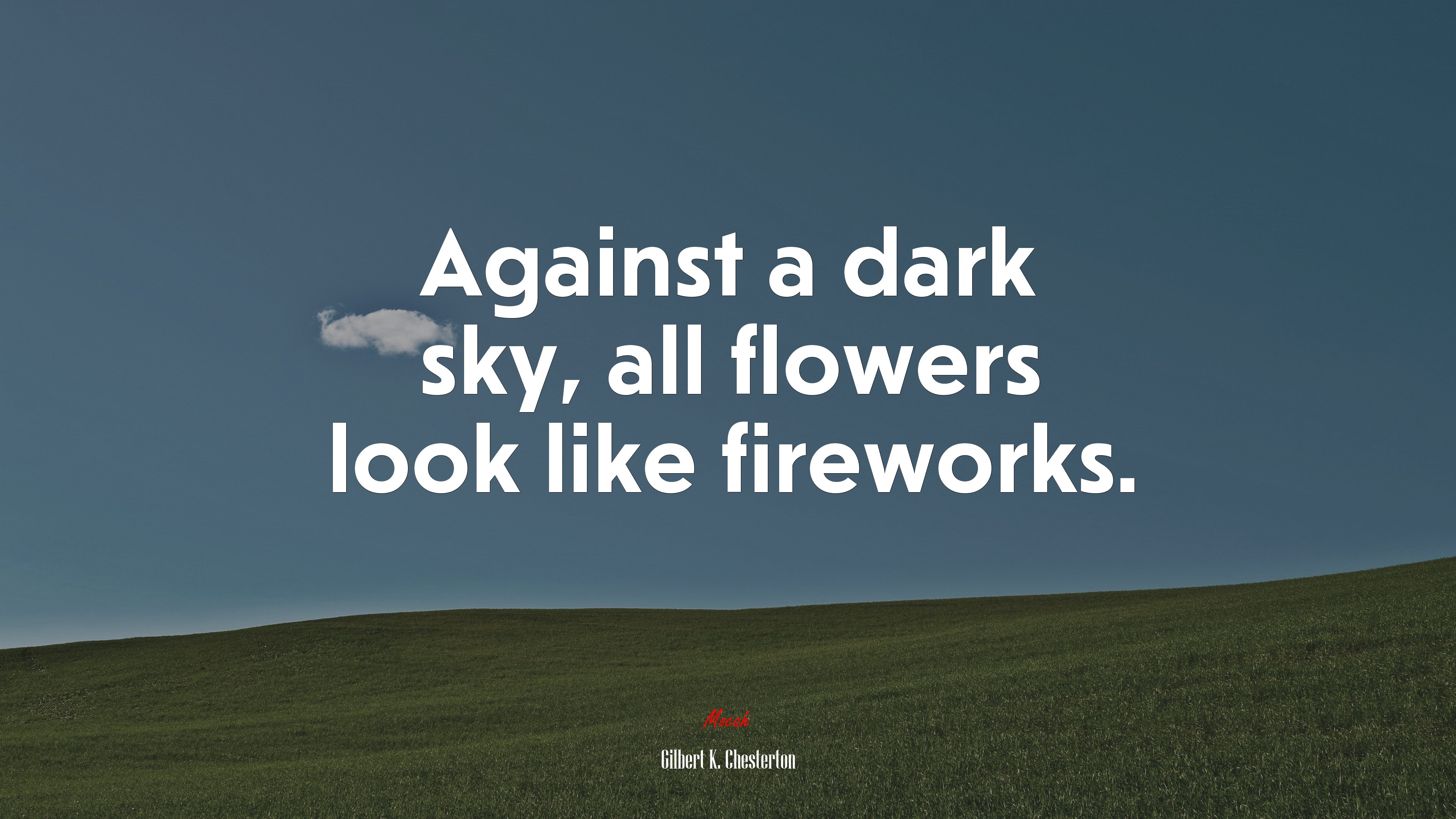 Against a dark sky, all flowers look like fireworks. | Gilbert K. Chesterton quote HD Wallpaper