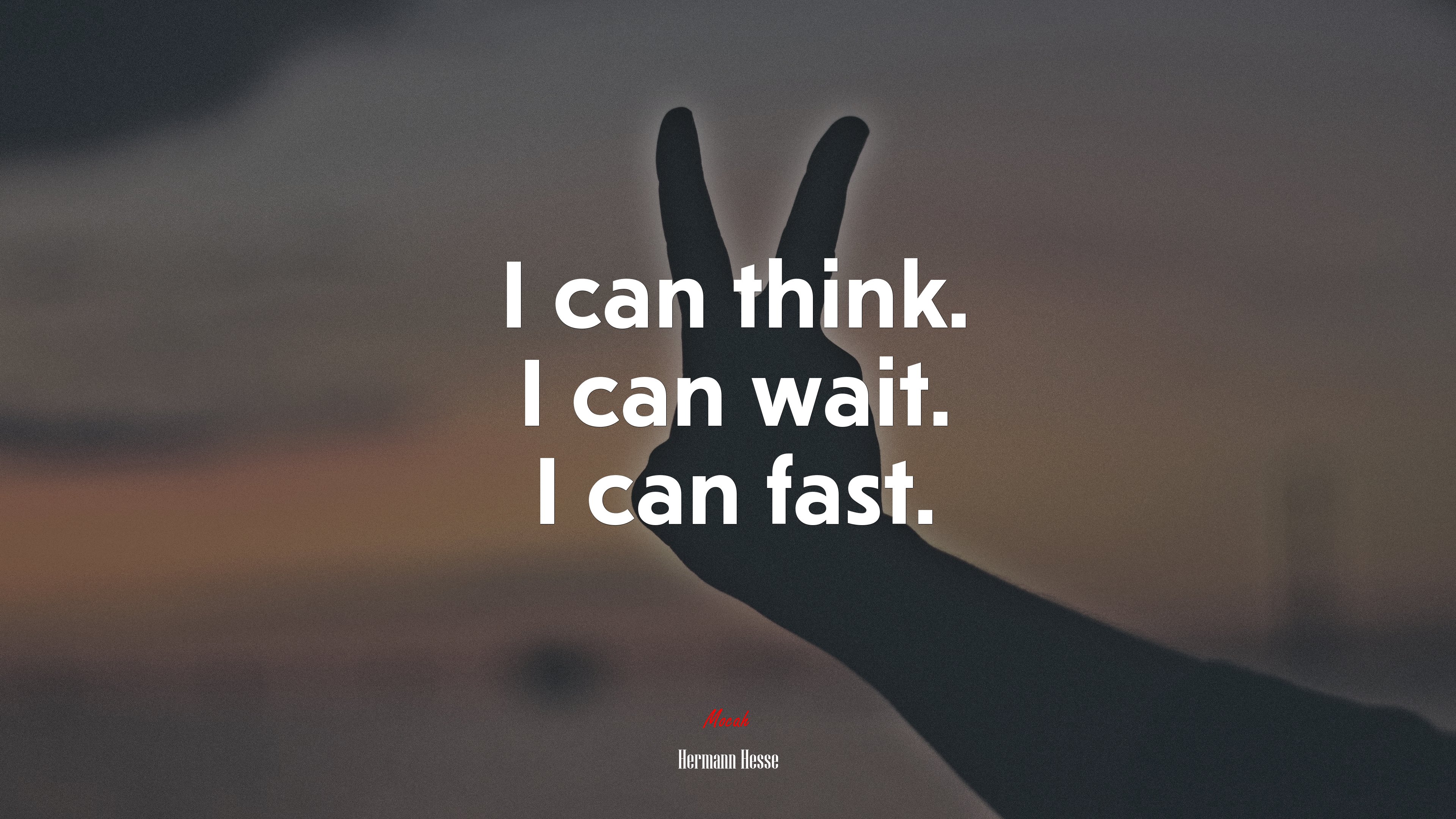 I can think. I can wait. I can fast. | Hermann Hesse quote HD Wallpaper