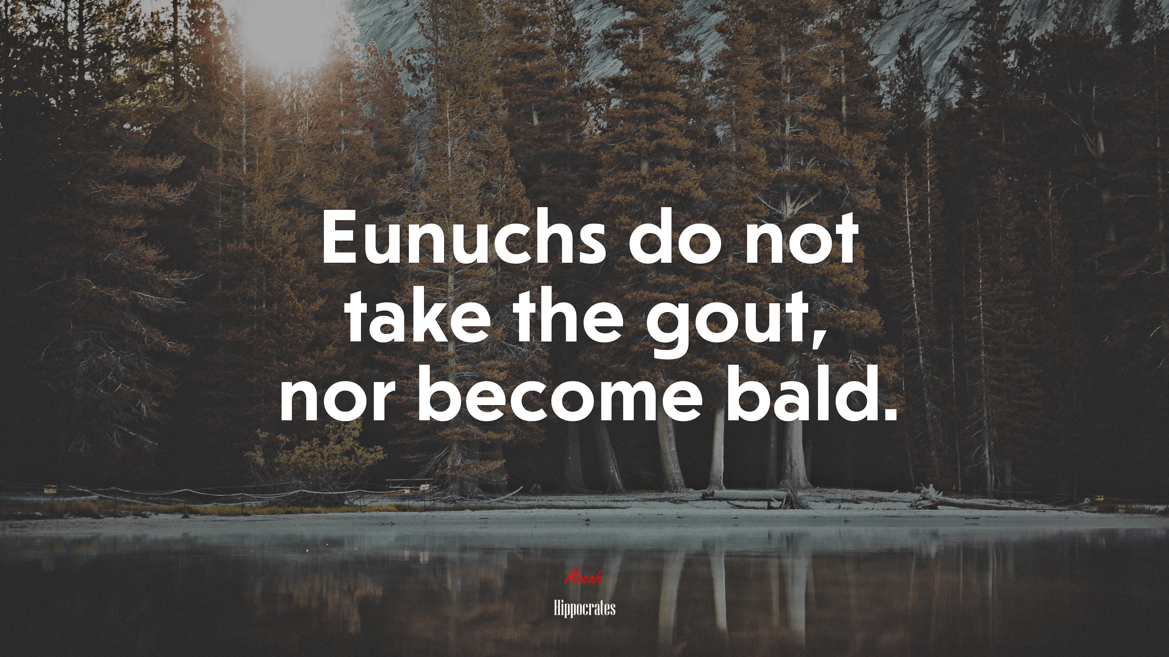 Eunuchs do not take the gout, nor become bald. | Hippocrates quote HD Wallpaper