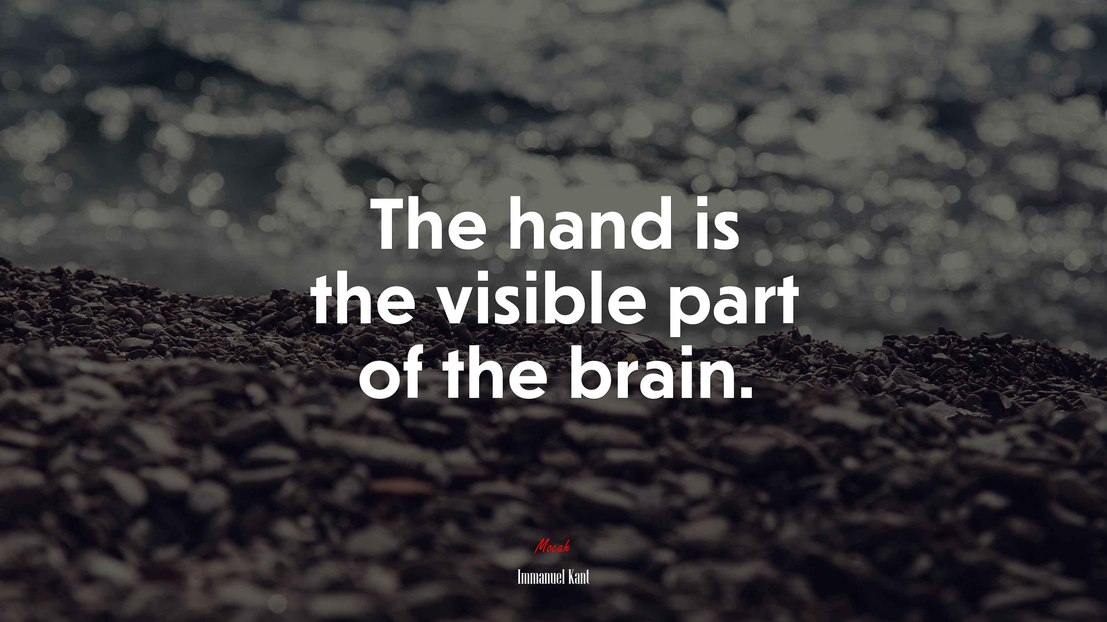 The hand is the visible part of the brain. | Immanuel Kant quote HD Wallpaper