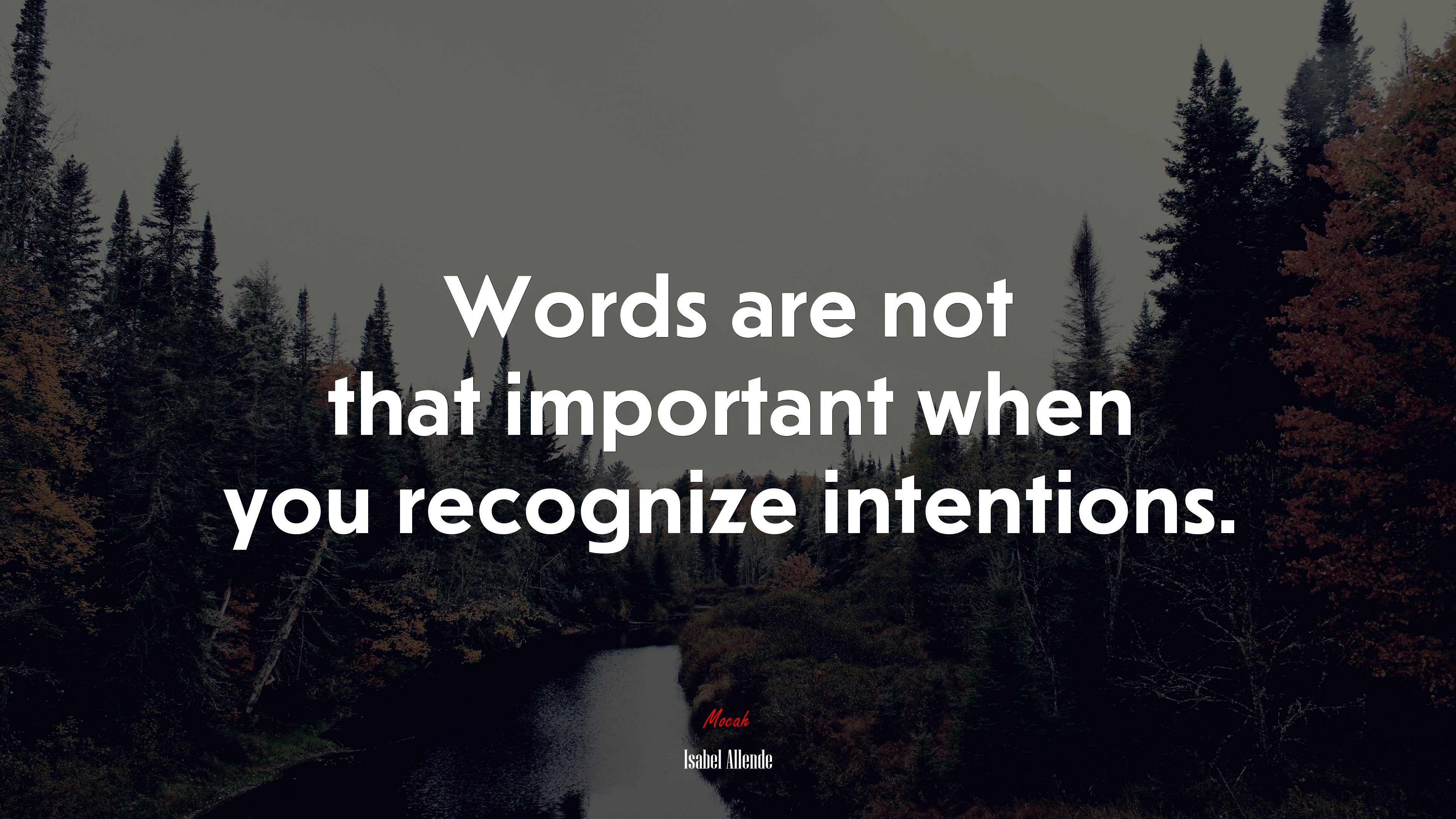 Words are not that important when you recognize intentions. | Isabel Allende quote HD Wallpaper