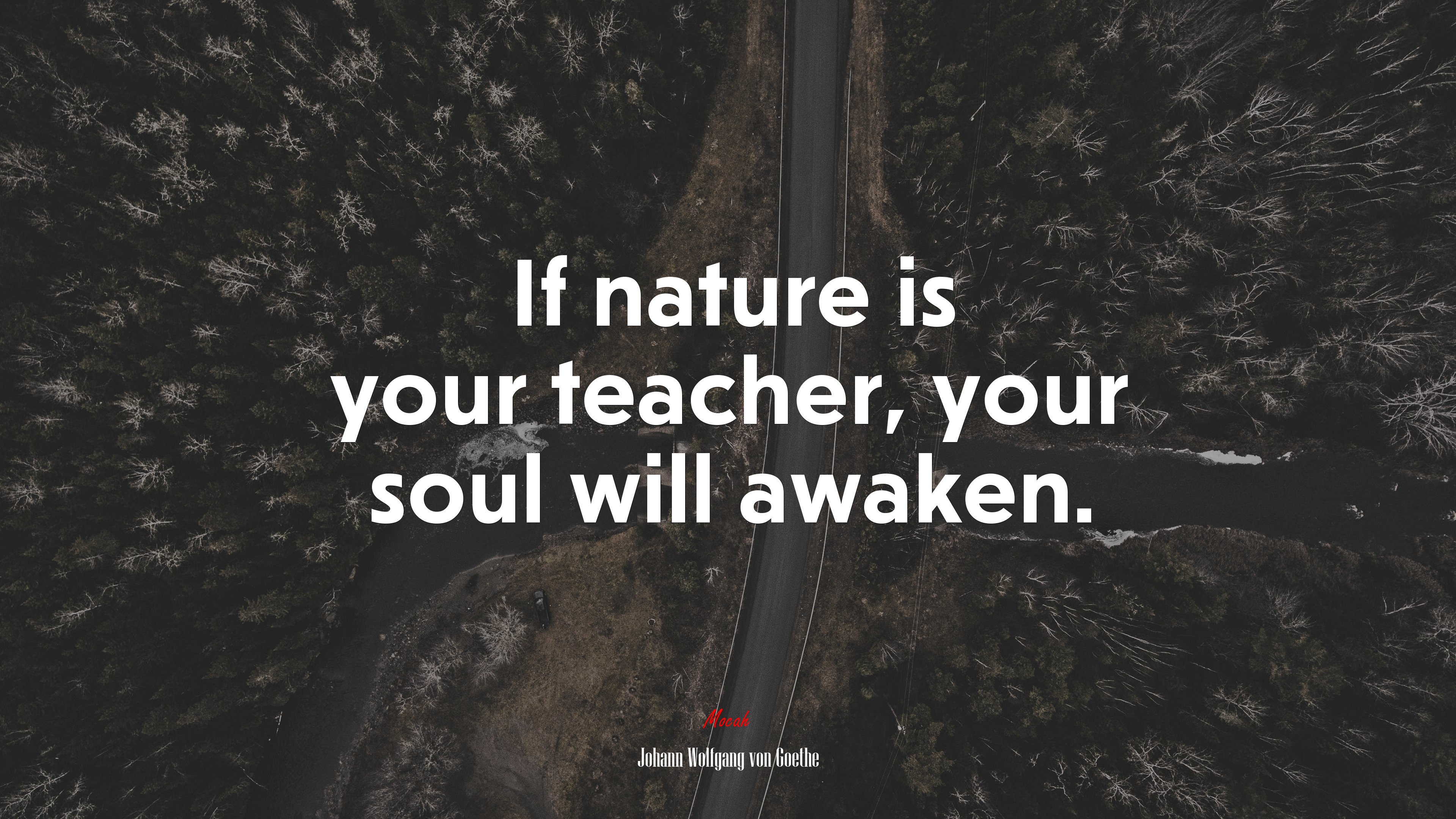 If nature is your teacher, your soul will awaken. | Johann Wolfgang von Goethe quote HD Wallpaper